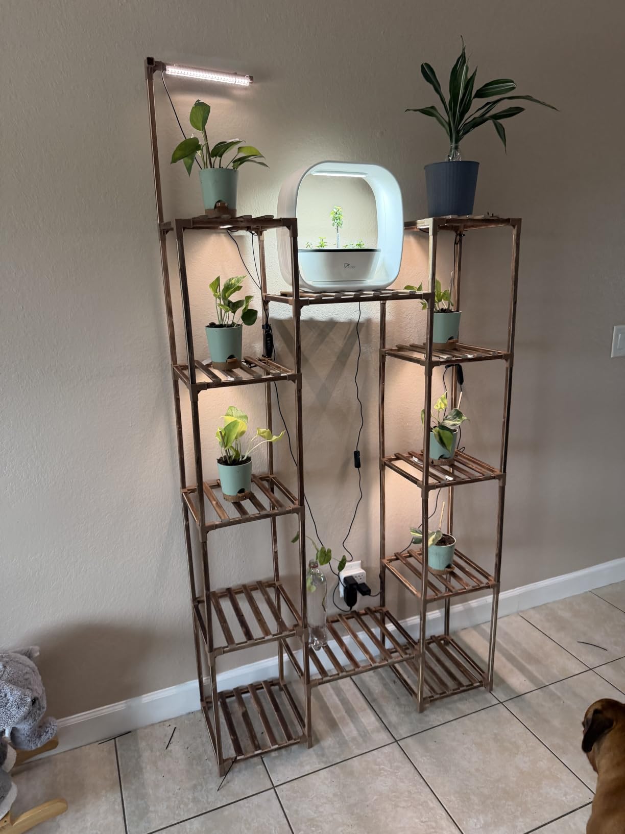 LED Grow Light Strips, Grow Lights for Indoor Plants Full Spectrum 3000K, Plant Light Bar with 3/9/12H Timer, 10 Dimmable Levels for Seedling Succulent,Best Match for Plant Shelf(3 Head×2 Pack) customer photo 1