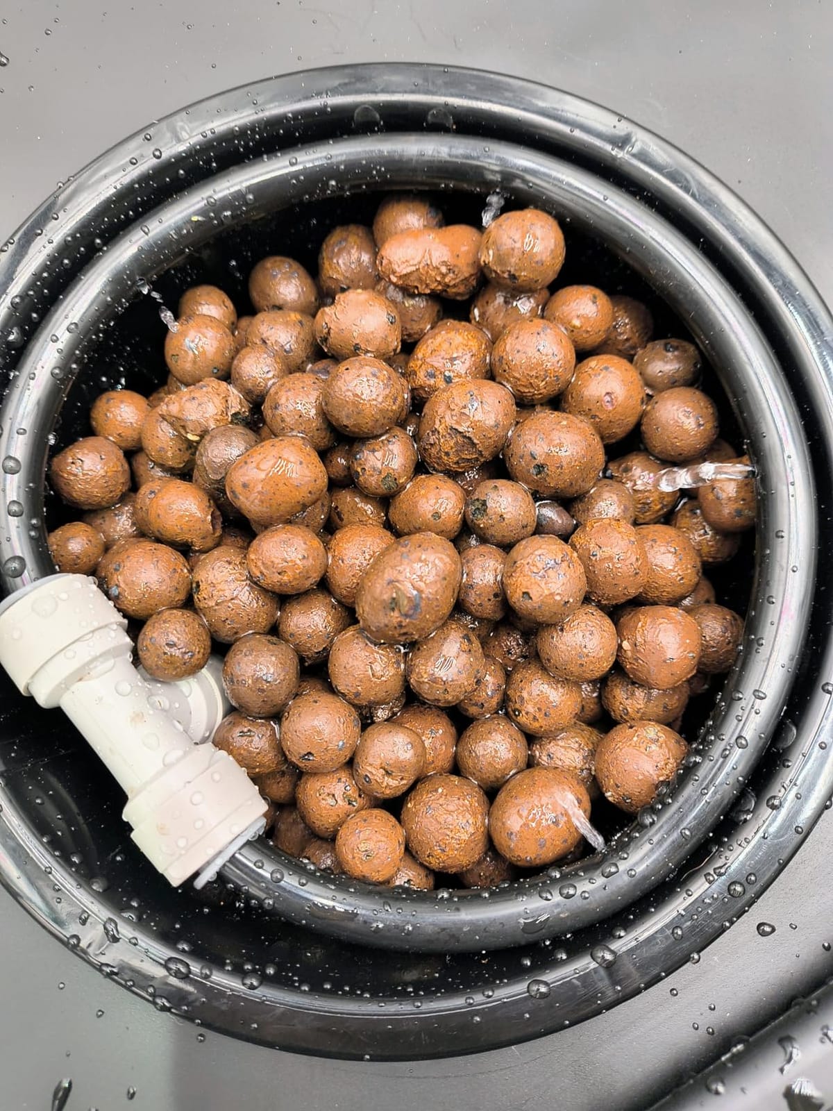 Spider Farmer DWC Hydroponics Growing System Kit 4 Buckets for Indoor Plant customer photo 2
