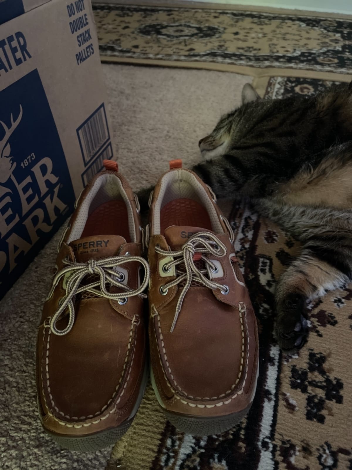 Sperry Men's Sea Kite Sport Moc Boat Shoe customer photo 1