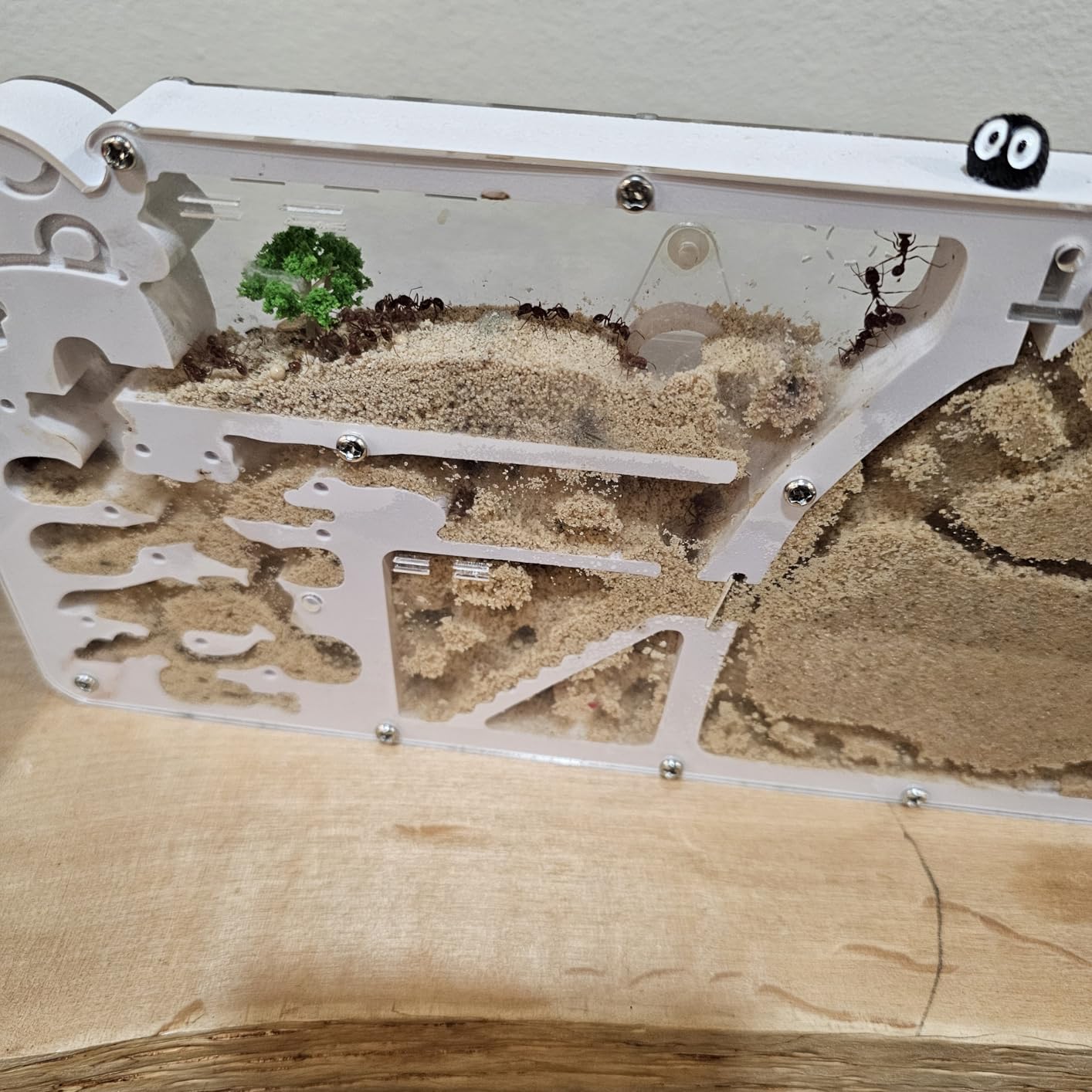 Ant Farm Castle - Large Viewing Area - Care for Live Ants - Ant Colony Observation Kits with Sand Habitat - Educational Science Gifts for Boys, Girls - Ant Farms for Kids, Adults, Student (Yellow) customer photo 2