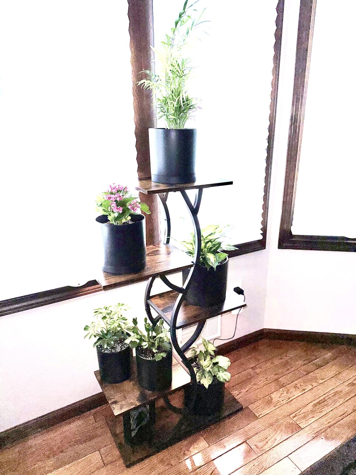 Plant Stand Indoor with Grow Lights - 5 Tiered Corner Plant Shelves (Brown) customer photo 1