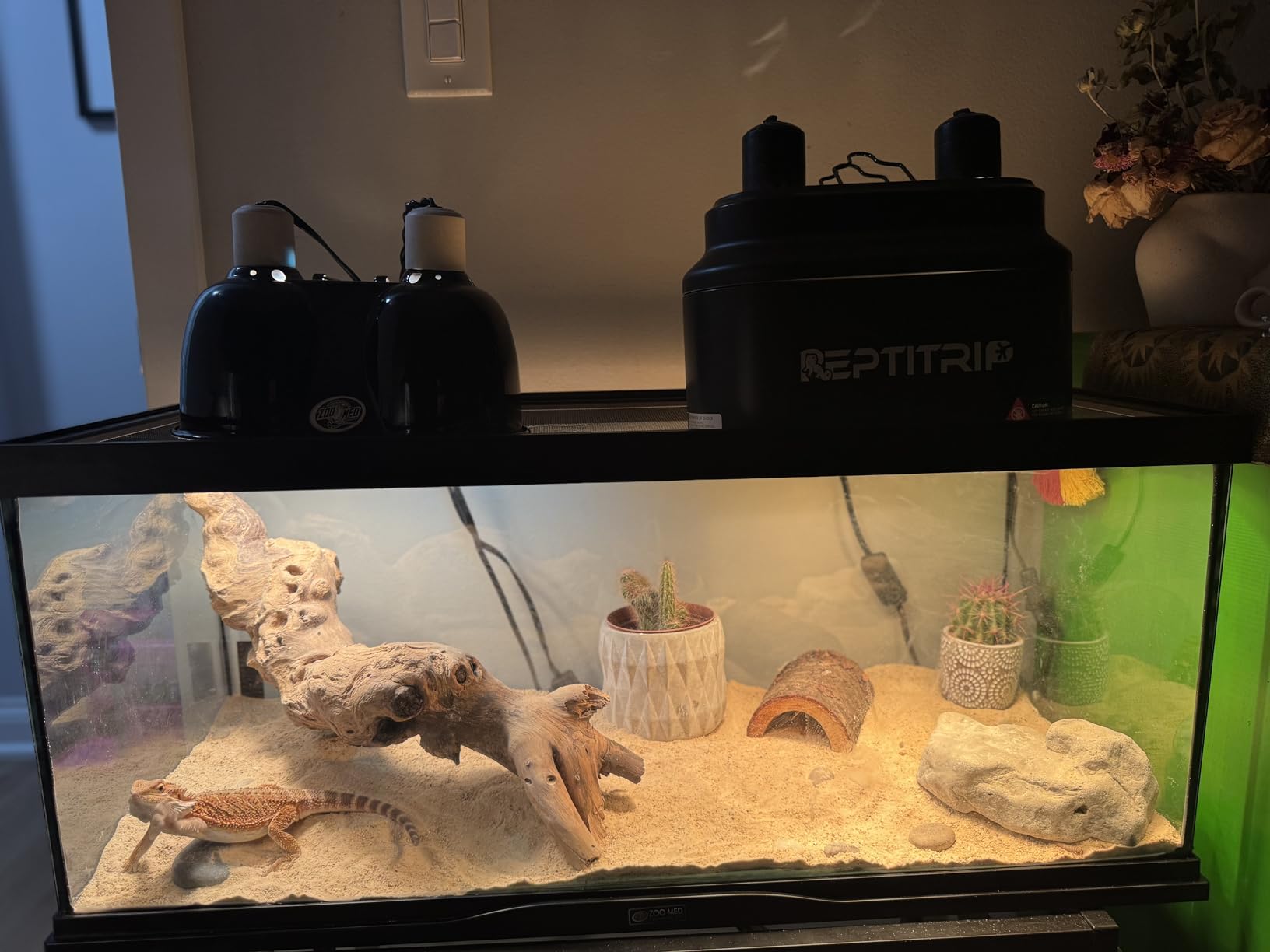 Dual Reptile Light Fixture with Switches, Reptile Heat Lamp Fixture, Reptiles Terrarium UVB Bulb Fixture for Bearded Dragon, Max 160W Each (Bulb Not Included) customer photo 1
