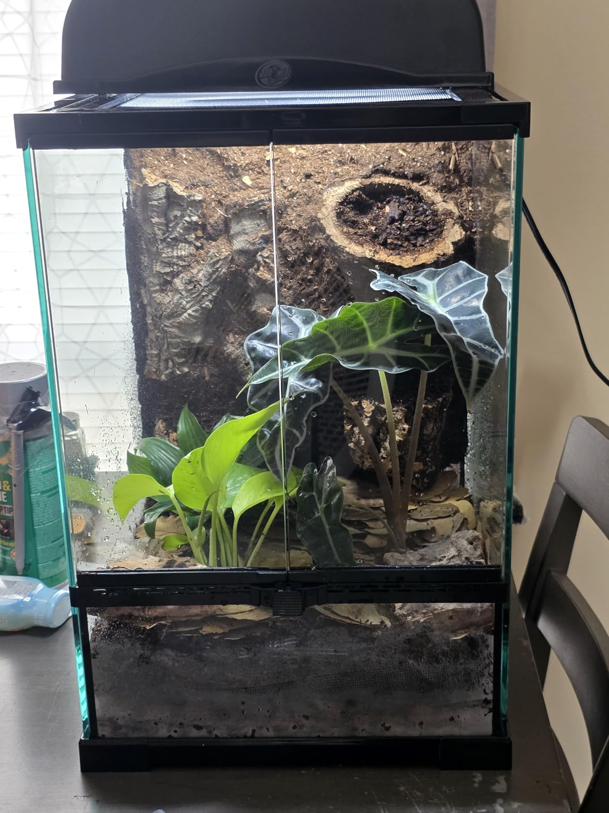 11 Gallon Reptile Glass Tank Vertical Terrarium 12