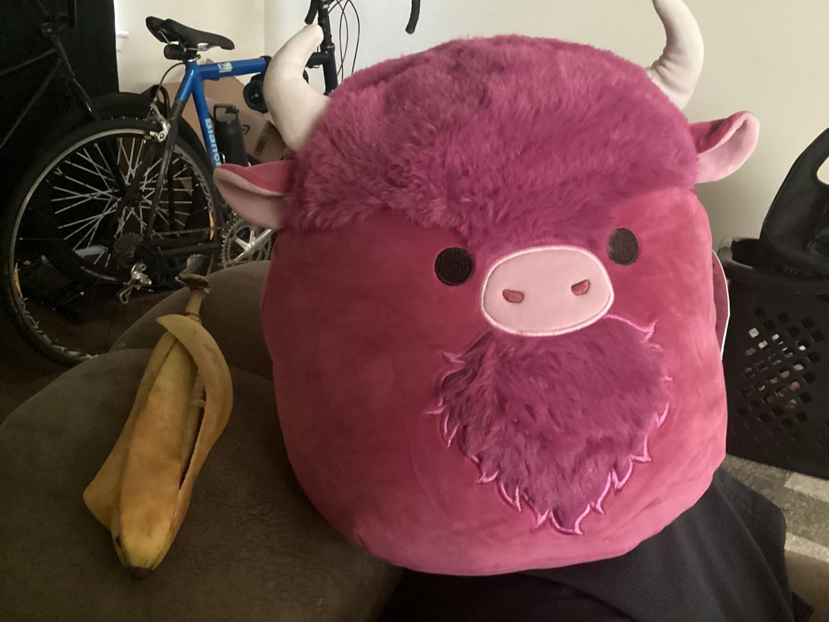 Squishmallows Jonessa Tie-Dye Bear customer photo 1