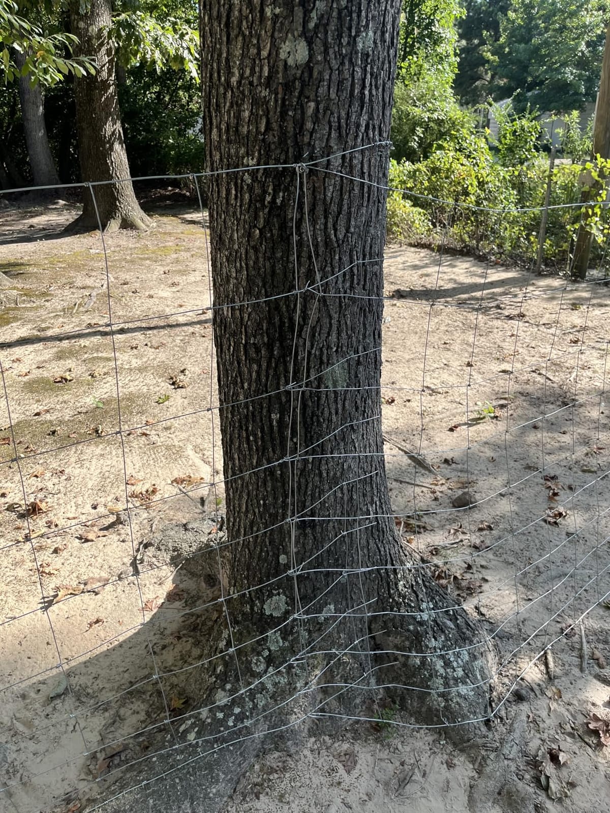 Farm Fence 4ft x 164ft Galvanized Woven Wire Livestock Fence customer photo 2