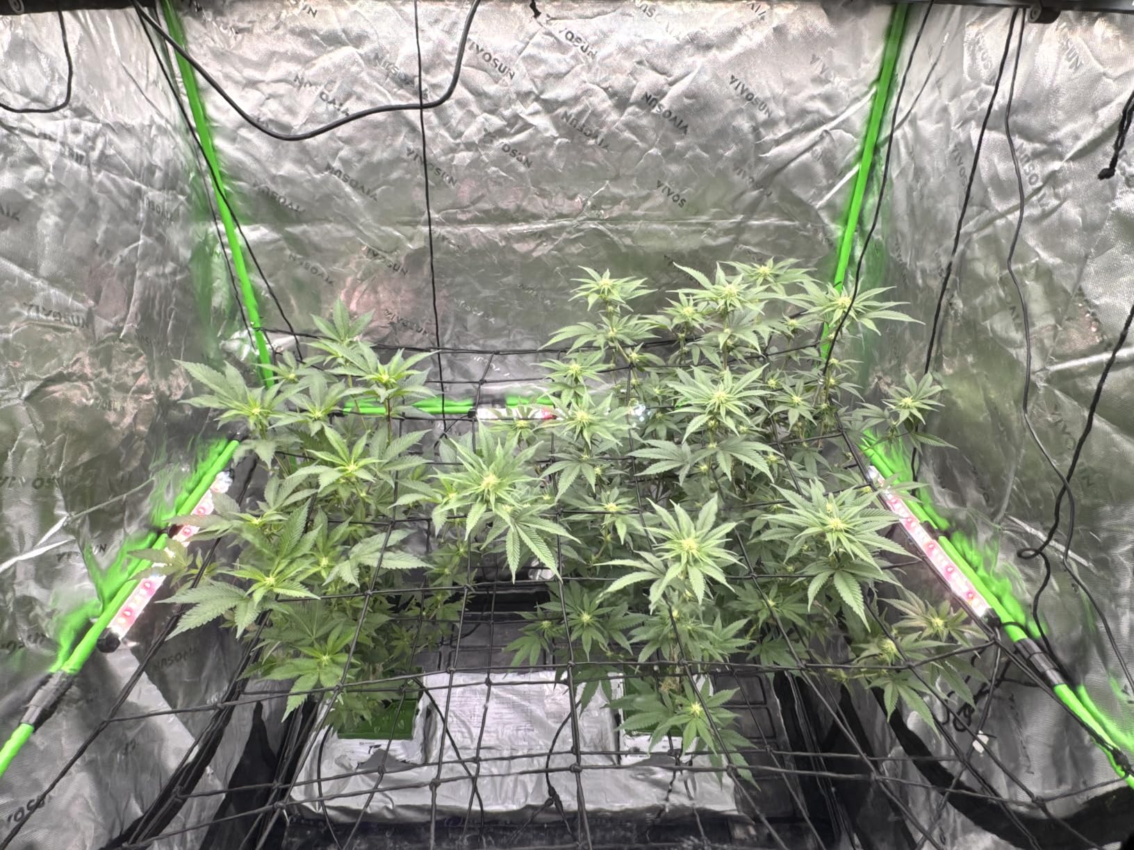 VIVOSUN LumaRay LED Grow Light Bars 16”(4-Bar) Full Spectrum Side Lighting customer photo 1