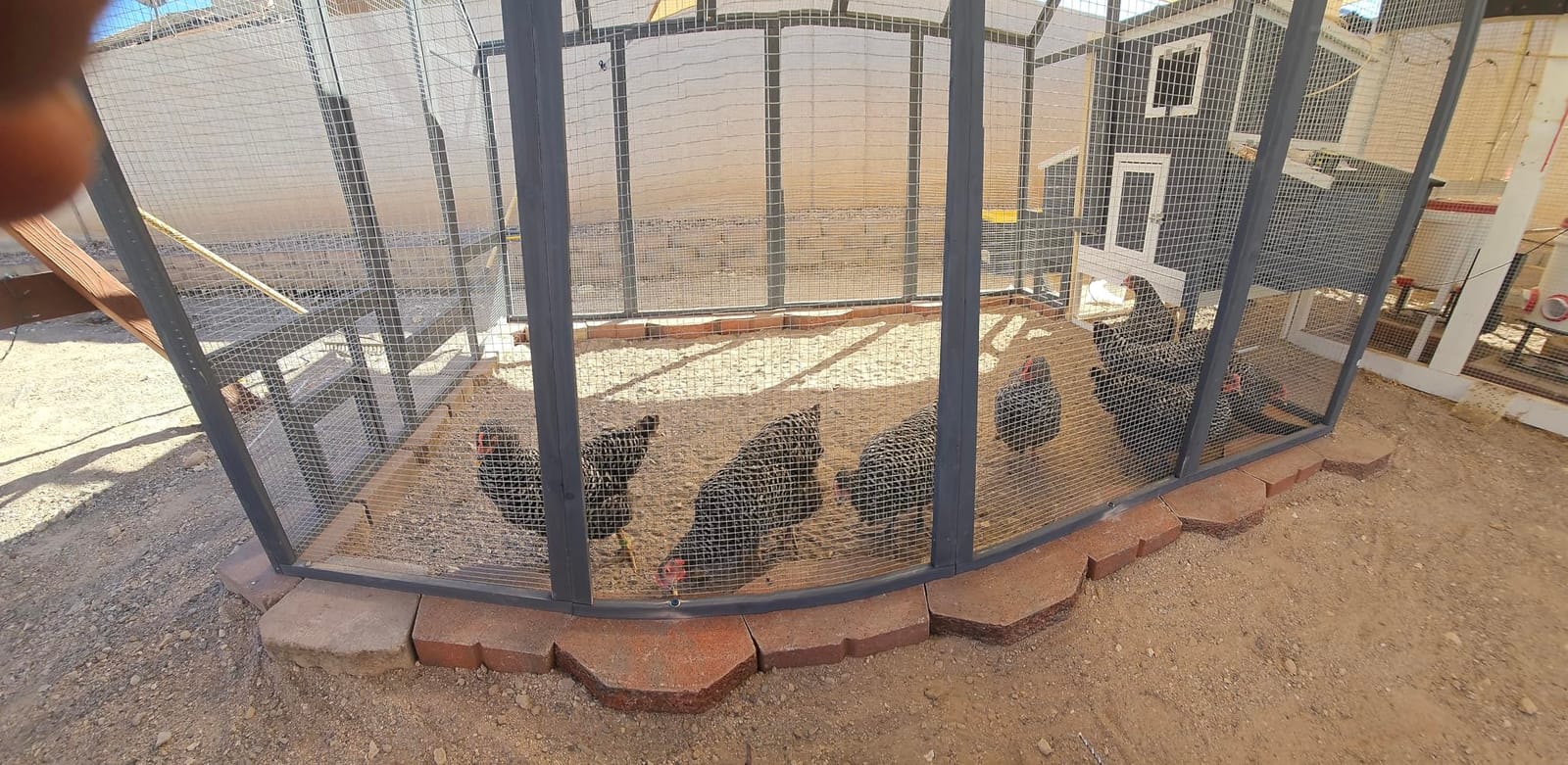 Large Wood Chicken Coop with Nesting Box for10-12 Chickens, Gray customer photo 1