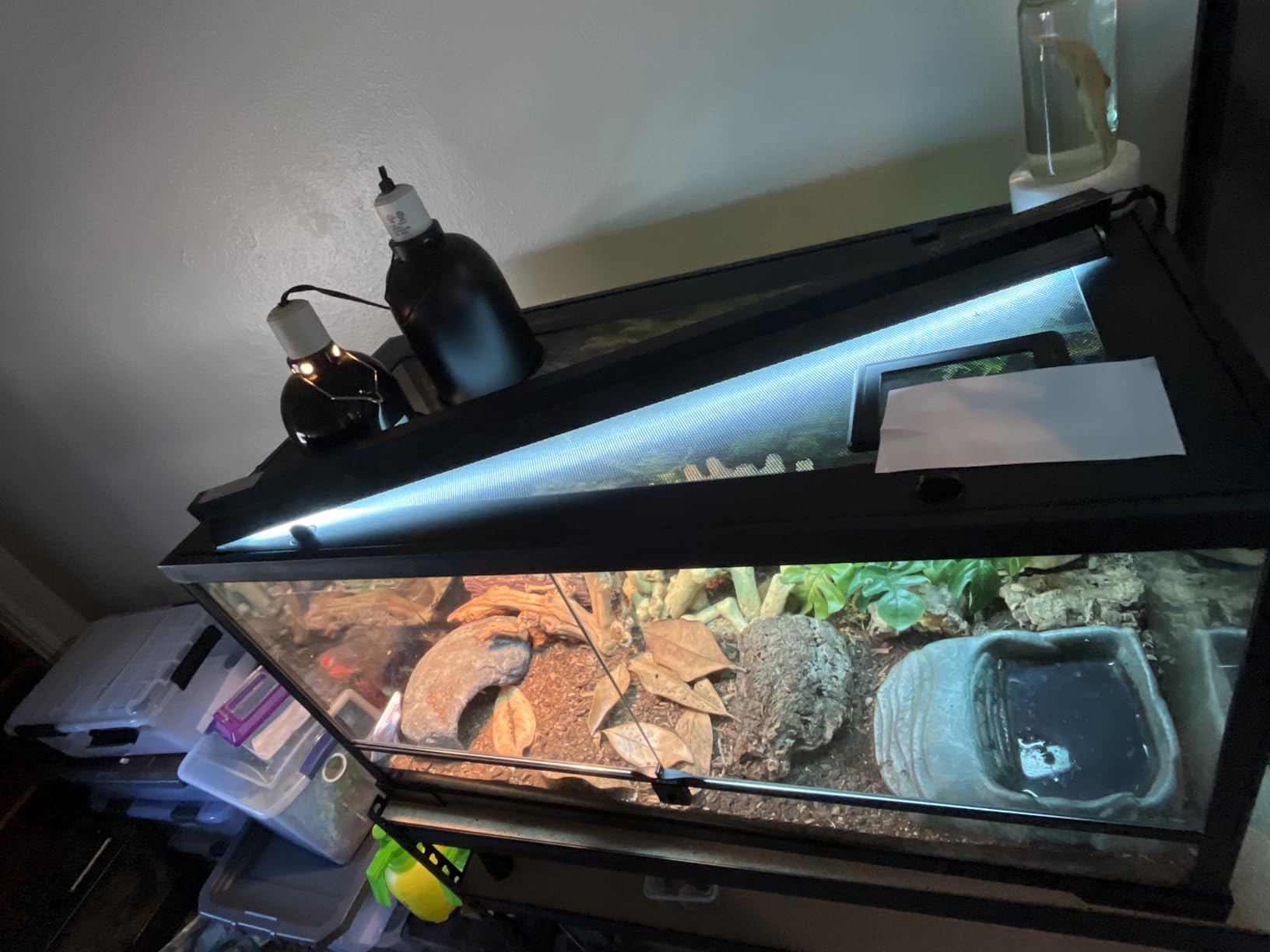 T5 UVB Reptile Light Fixture HO UVB Bulb Lighting Combo Kit, 10.0 UVB Light for Reptiles Terrarium Hood with 24W Reptile Light Bar UVA UVB Desert Lamp for Bearded Dragon Turtle Tank, 22Inch customer photo 2