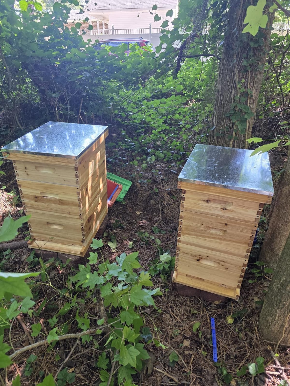 Gold Standard 8 Frame Bee Hive Beeswax Coated Includes Beehive Frames and Foundations (2 Deep Boxes & 1 Medium Box) customer photo 1