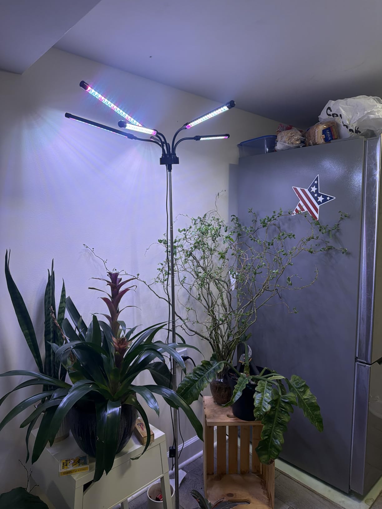 Mefflypee Grow Lights for Indoor Plants, LED Grow Light Stand, Red White Full Spectrum Plant Lamp with Adjustable Tripod, Gooseneck, Suitable for Flowers Vegetables (Type B) customer photo 2