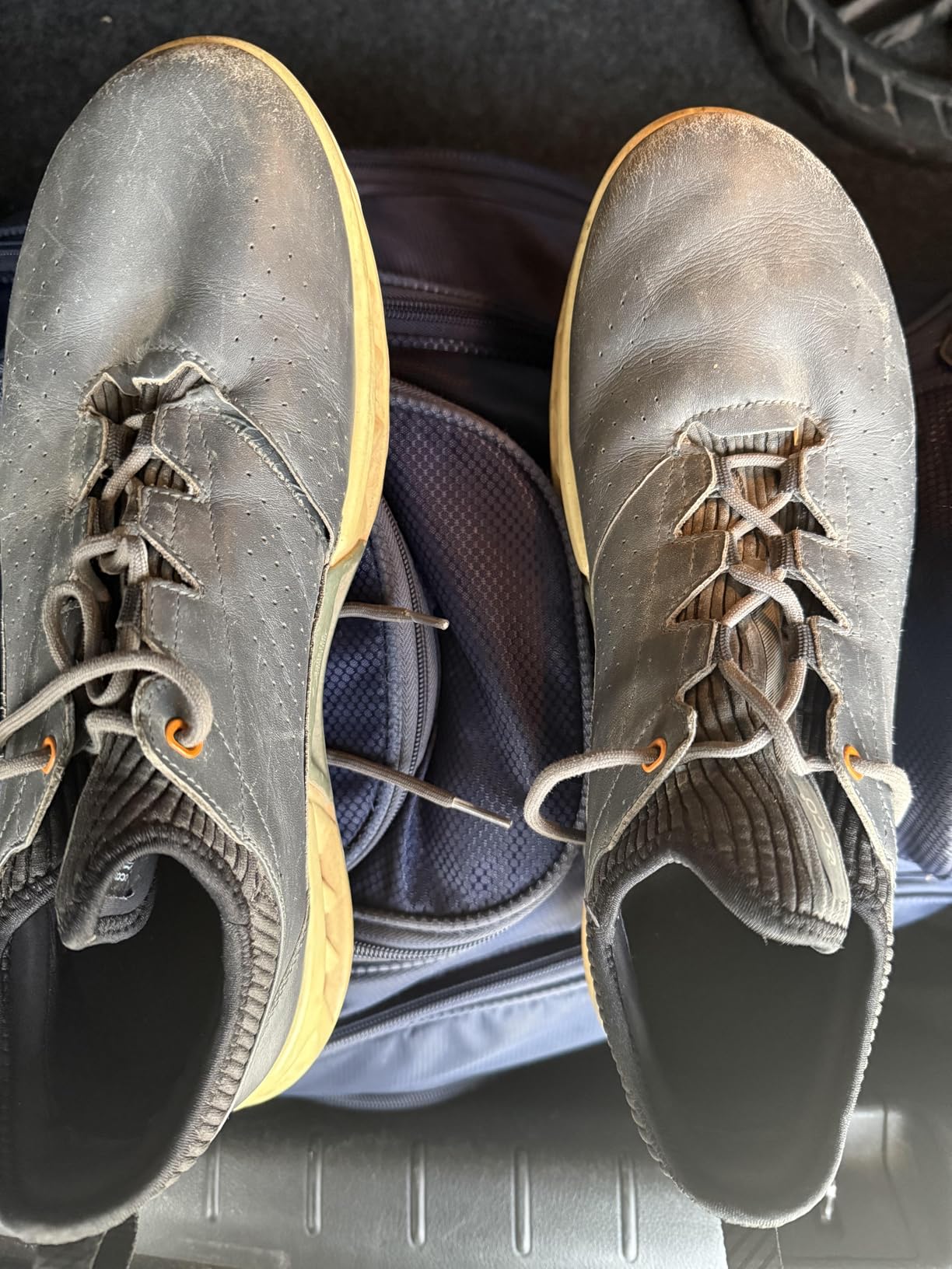 ECCO Golf Biom C4 Vented Gore-TEX® Waterproof Golf Shoe customer photo 1