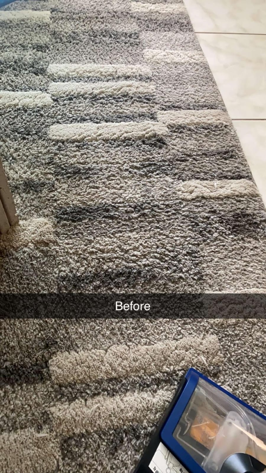 Shark CarpetXpert HairPro Carpet & Built-in Stain Cleaner, 2 Tools EX251BRN customer photo 2