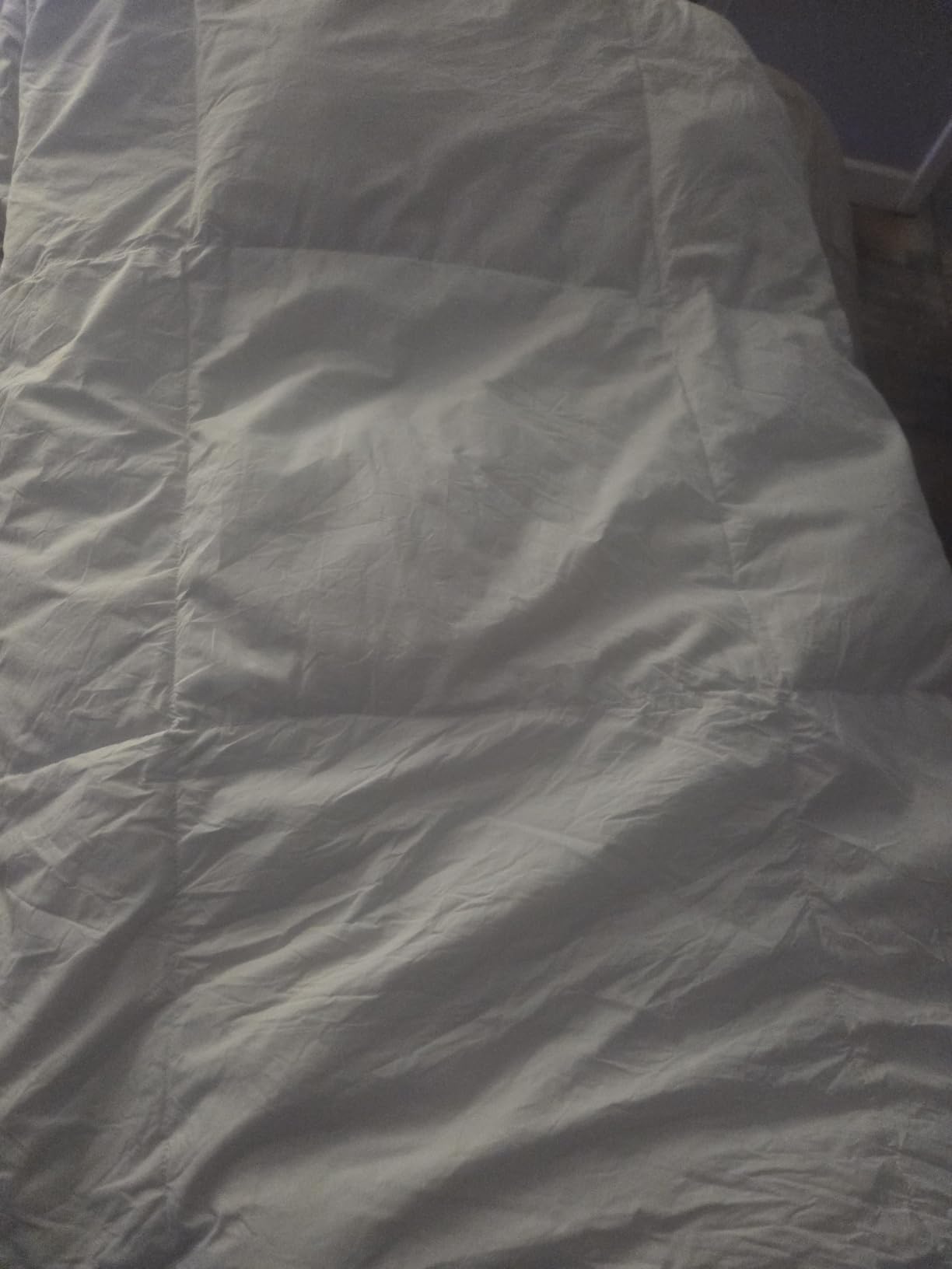 Hotel Grand White Goose Feather Down Fiber Comforter Queen, Extra Warmth customer photo 2