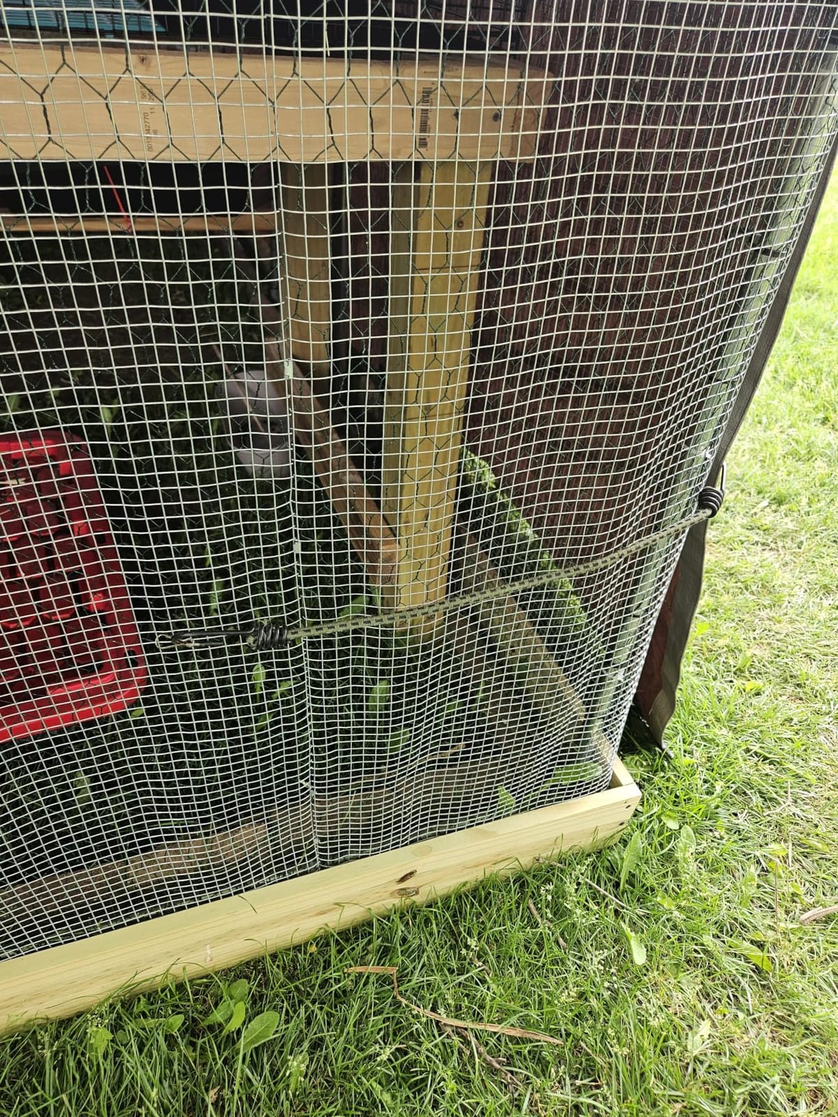 VEVOR Large Metal Chicken Coop with Run, Walkin Chicken Coop for Yard with Waterproof Cover, 6.5 x 9.8 x 6.5 ft, Spire Roof Large Poultry Cage for Hen House, Duck Coop and Rabbit Run customer photo 2