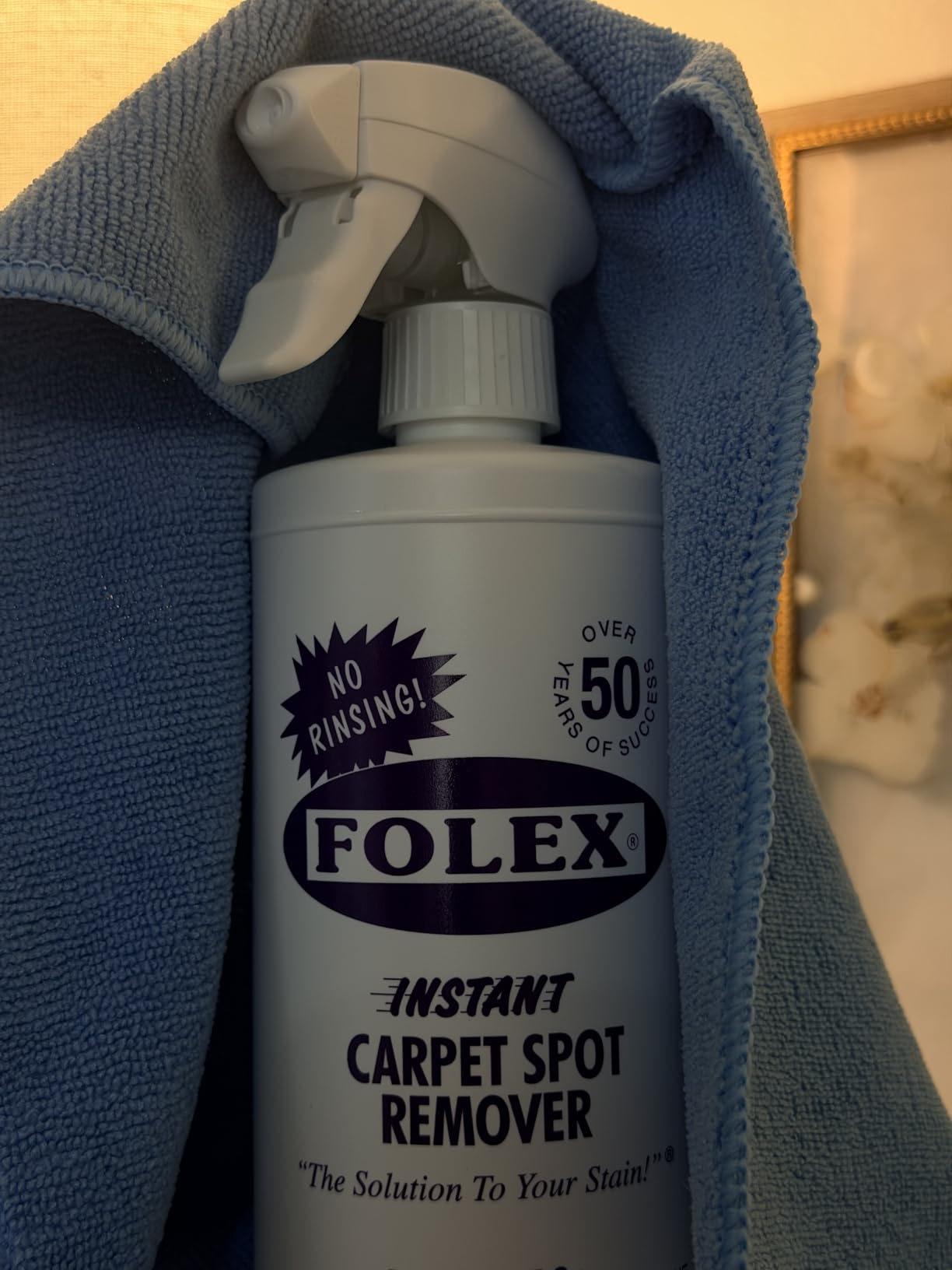 FOLEX Instant Carpet Spot Remover 32 oz – Powerful Stain Remover for Carpets, Upholstery & Rugs – Eliminates Pet Stains, Grease, Red Wine, Food, Makeup & More – With Reusable Cleaning Cloth - 1 Pack customer photo 2