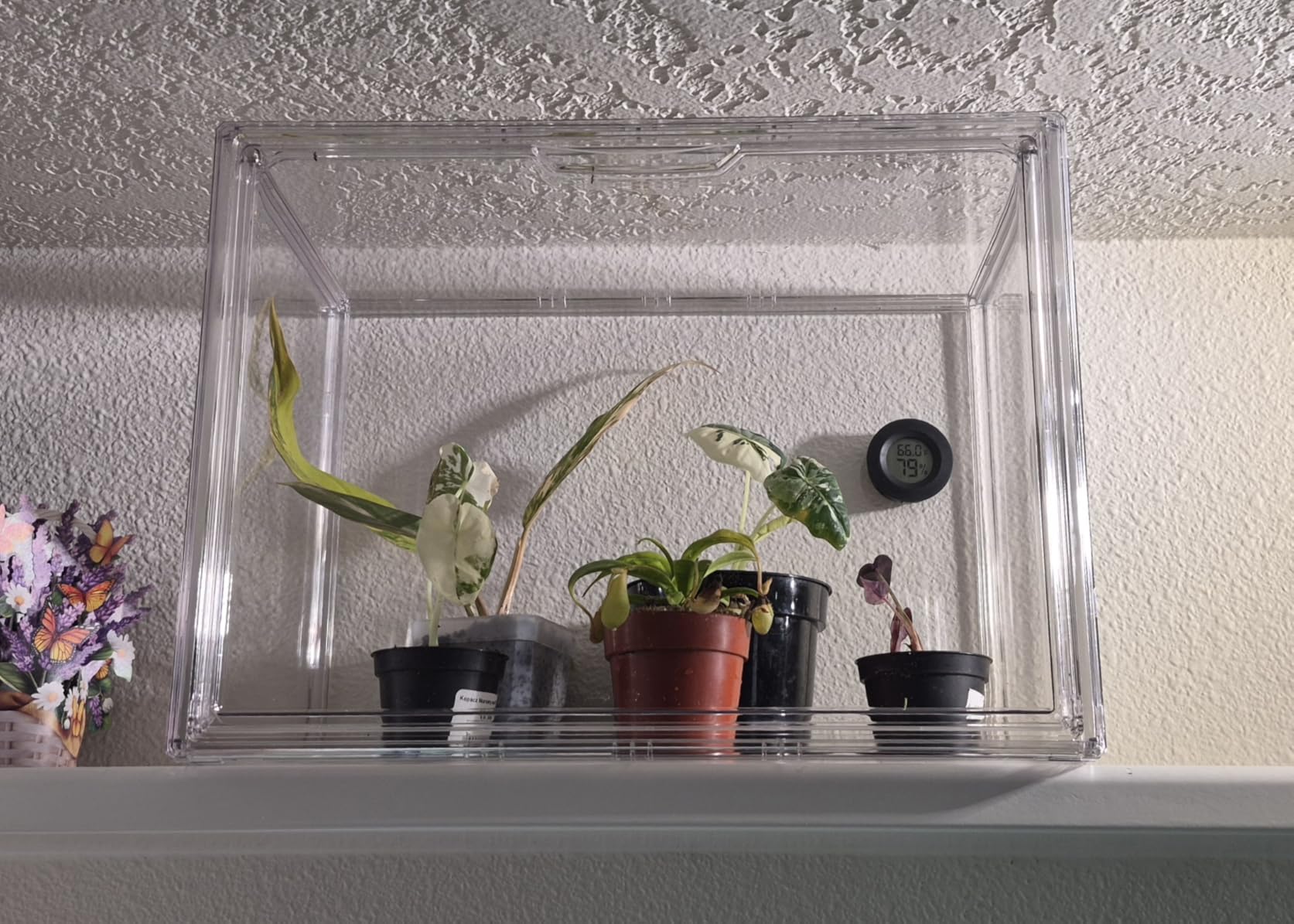 Attelite Acrylic Display Case for Collectibles 3 Adjustable Layers 1Pack | Tool-free Assembly, Clear Display for Figures, 2 Tier Clear Acrylic Box, Stackable Storage Bin, Magnetic Door, Dustproof customer photo 2