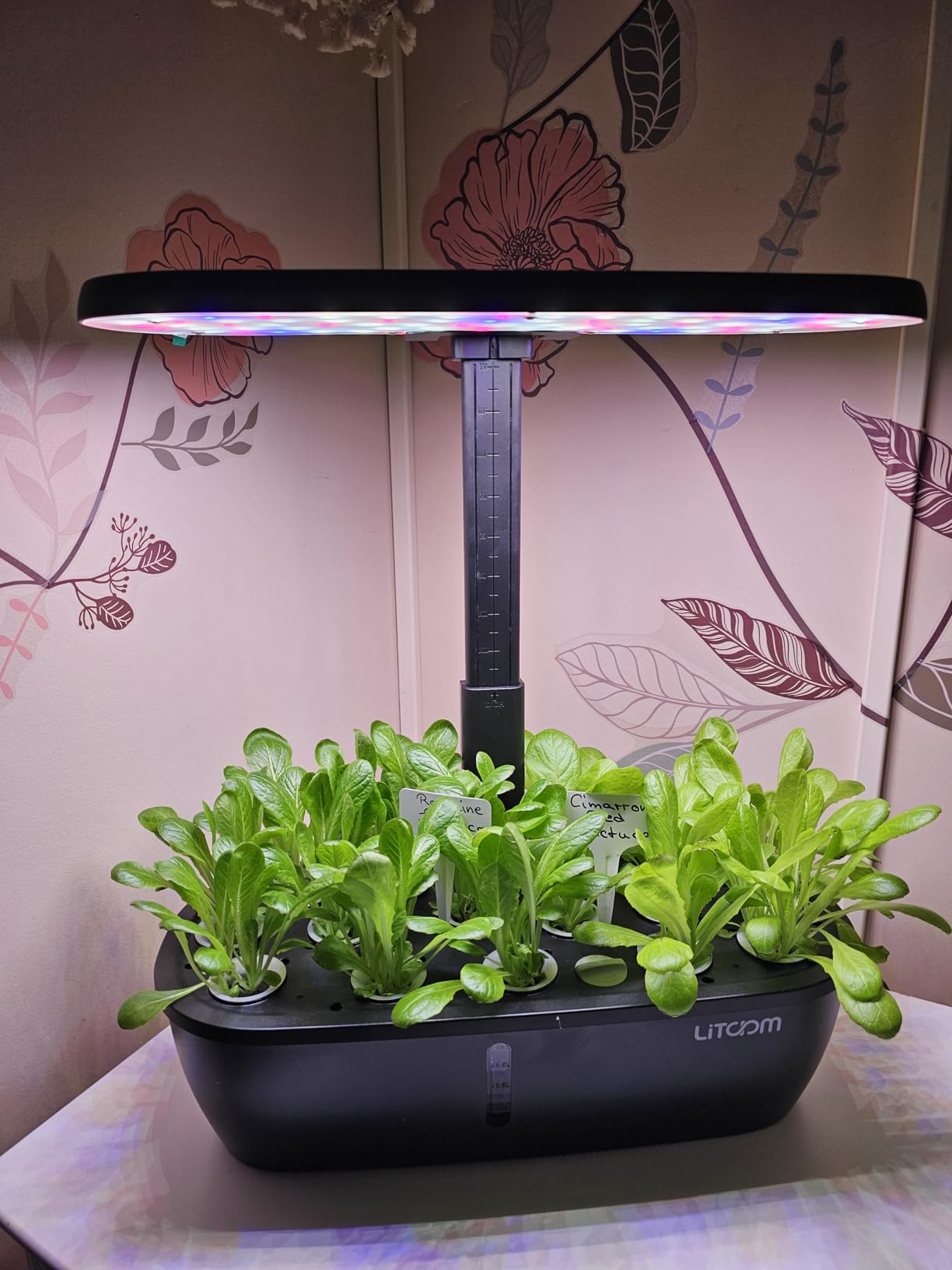 litokam Hydroponics Growing System Kit, 15-Pod Indoor Herb Garden Planter with 24W Grow Light & APP Control, Indoor Gardening System with 2 Grow Modes, Quiet Pump & 24H Timer customer photo 1