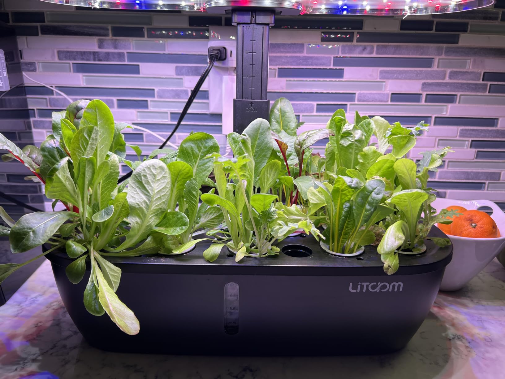 litokam Hydroponics Growing System Kit, 15-Pod Indoor Herb Garden Planter with 24W Grow Light & APP Control, Indoor Gardening System with 2 Grow Modes, Quiet Pump & 24H Timer customer photo 2