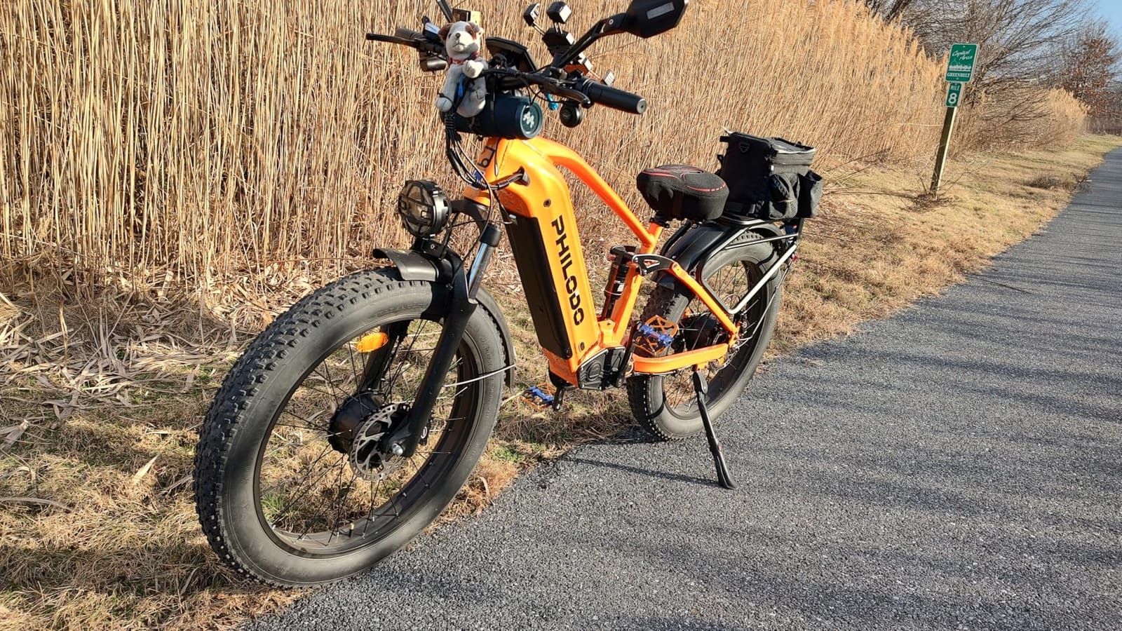 Falcon 60V Off-Road Electric Bike - Dual Motor Hunting Ebike, Fat Tire Full Suspension Dirt Bike for Adults, Long Range Snow/Sand Electric Bicycle LG Cells customer photo 1