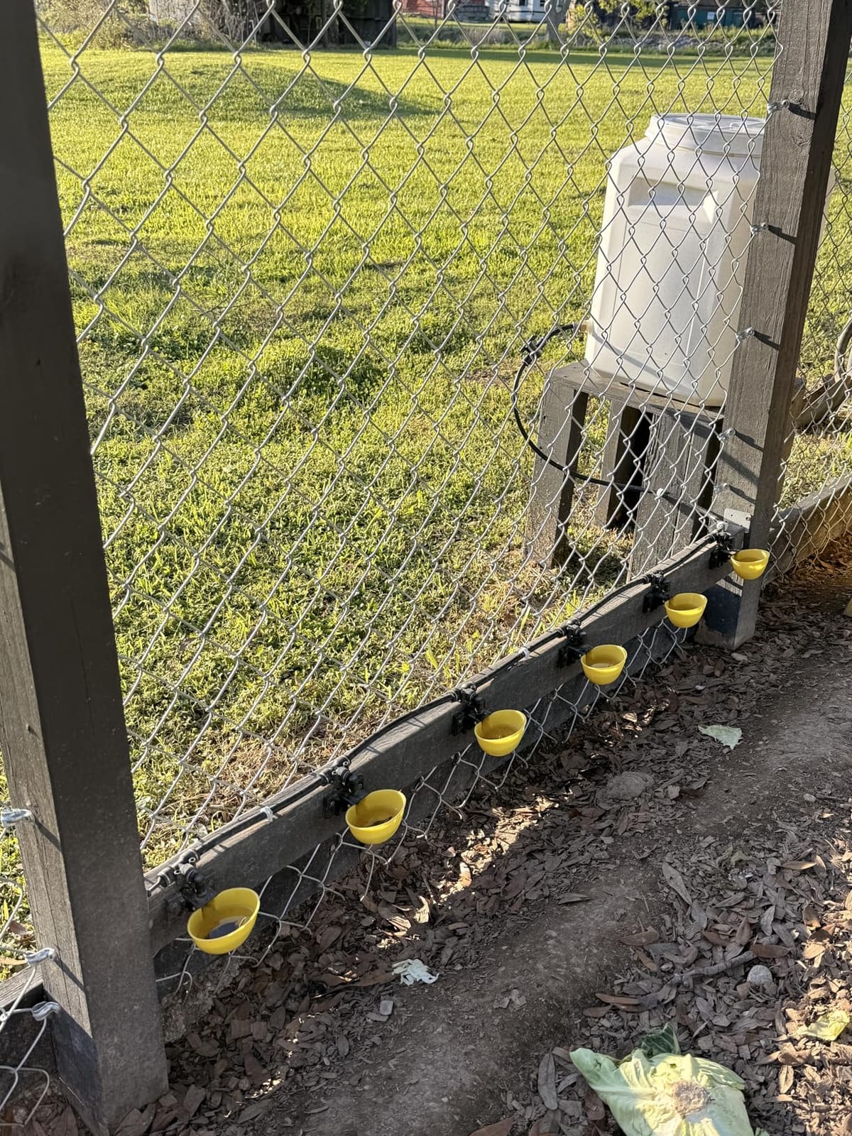 Automatic Chicken Water System, Complete Set with Large Water Cup,Pipeline customer photo 2