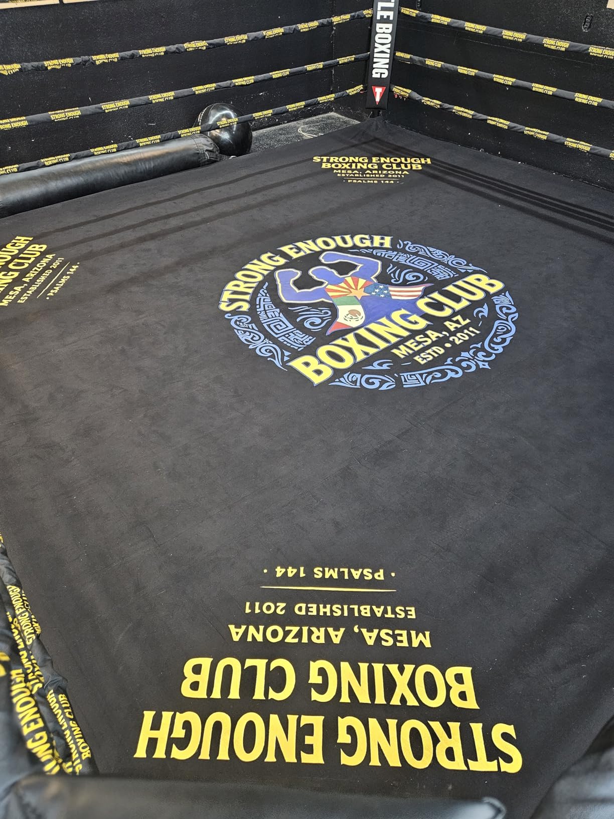 Custom Boxing Ring Canvas Cover – Heavy-Duty Non-Slip Fabric with Grommets, Reinforced Edges, and Hook-and-Loop Fasteners – Logo Printed for Training & Competition customer photo 2