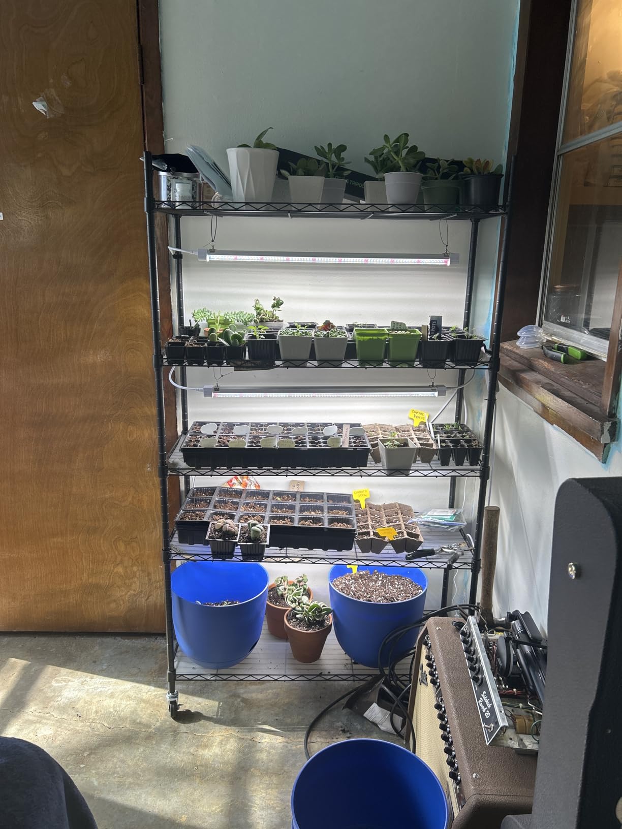 FREELICHT Plant Stand with Grow Light 5-Tier, 4×30W 5000K, 29.5x13.8x61.5IN customer photo 1