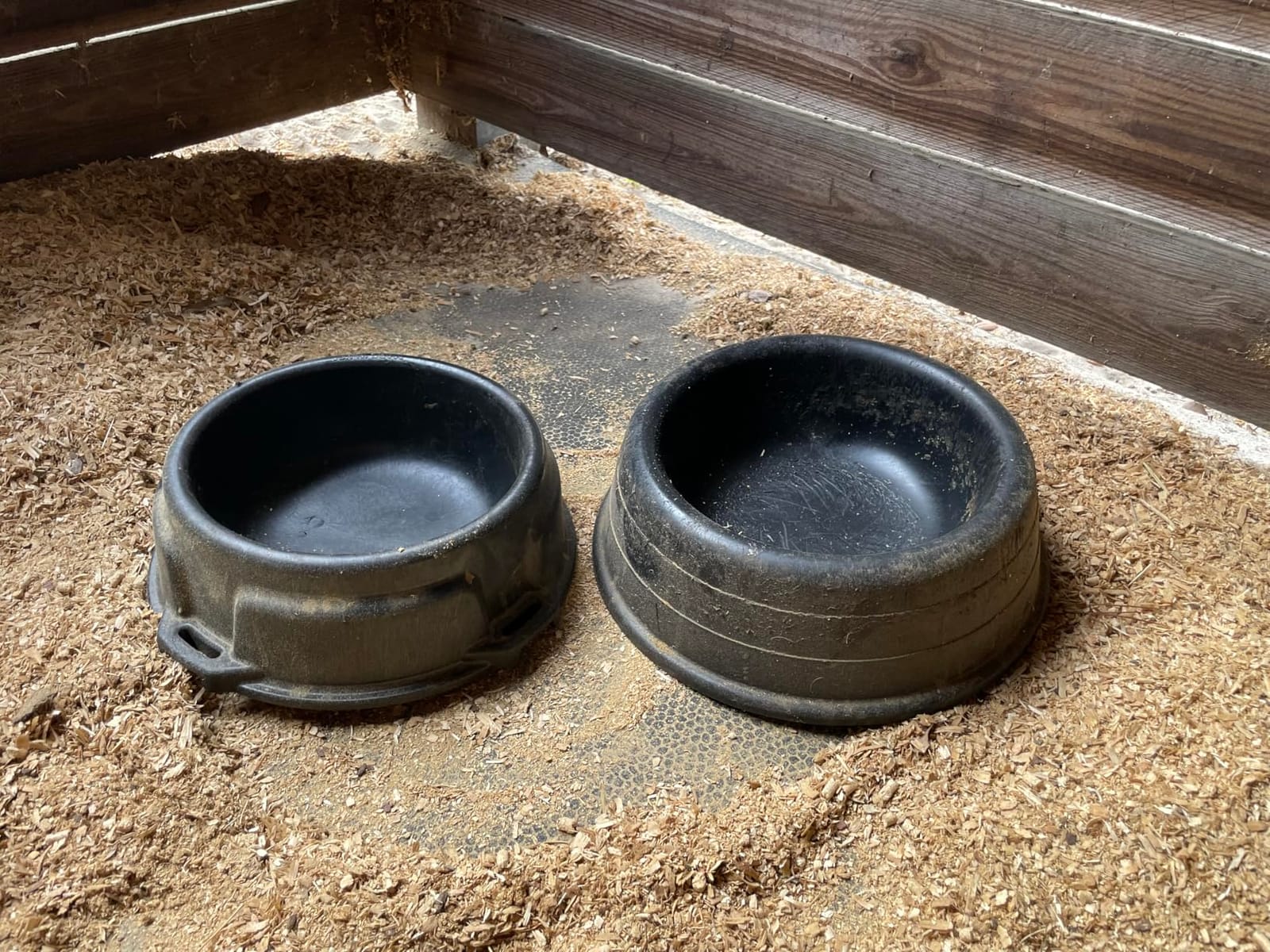 Rubbermaid Commercial Products Brute 6-Gallon Animal Pan Feeder, RigidCell Construction, Stackable Livestock Feed Bowl, Made in USA customer photo 1