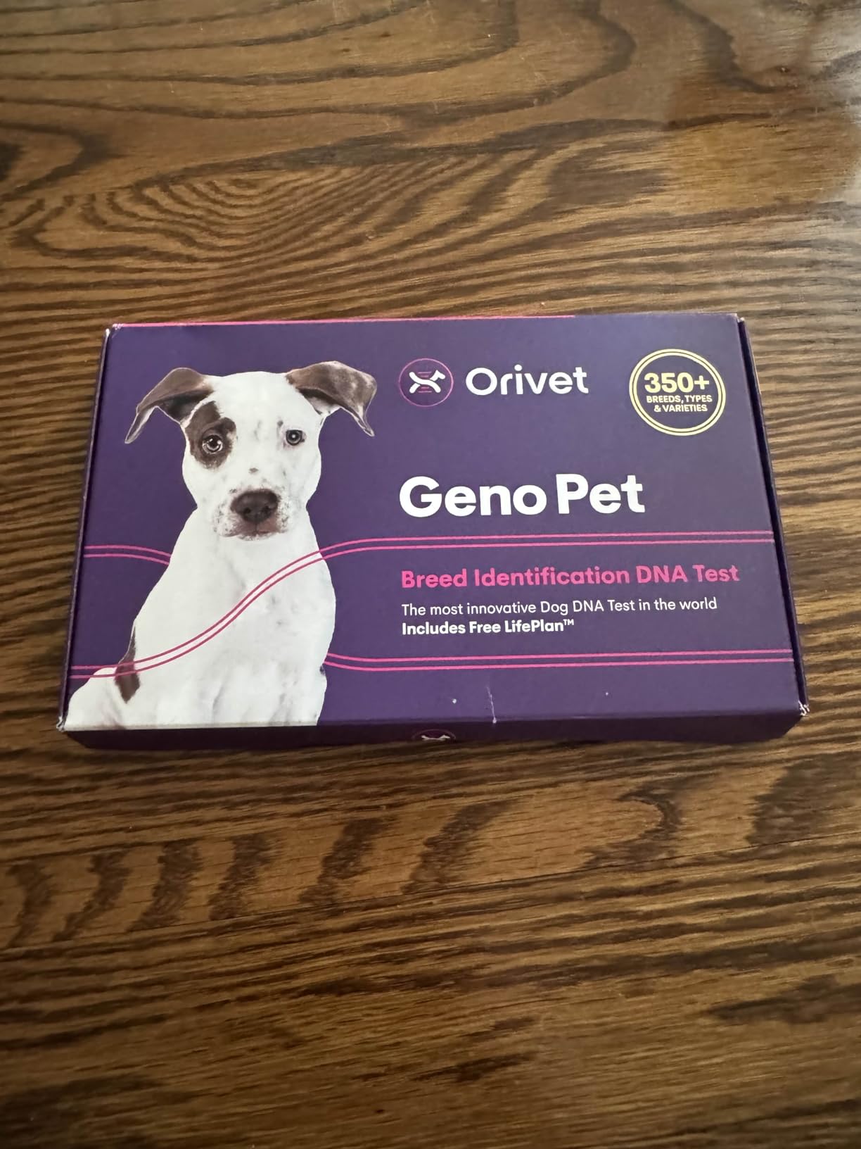 ORIVET GenoPet Dog DNA Test, 365+ Breeds, Health, Ancestry, Easy Cheek Swab, Results in 3–5 Weeks customer photo 1