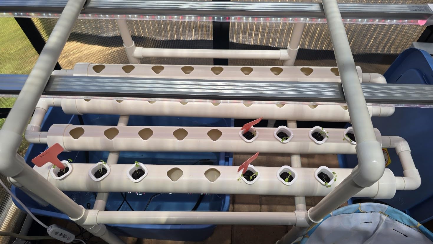 NFT Hydroponic Growing System Kit - Full-Spectrum Grow Lights & Timer | 36 Plant Sites | Food-Grade PVC-U Pipes | Auto Water Pump & Timer | Indoor Gardening for Leafy Greens, Lettuce & Herbs customer photo 2