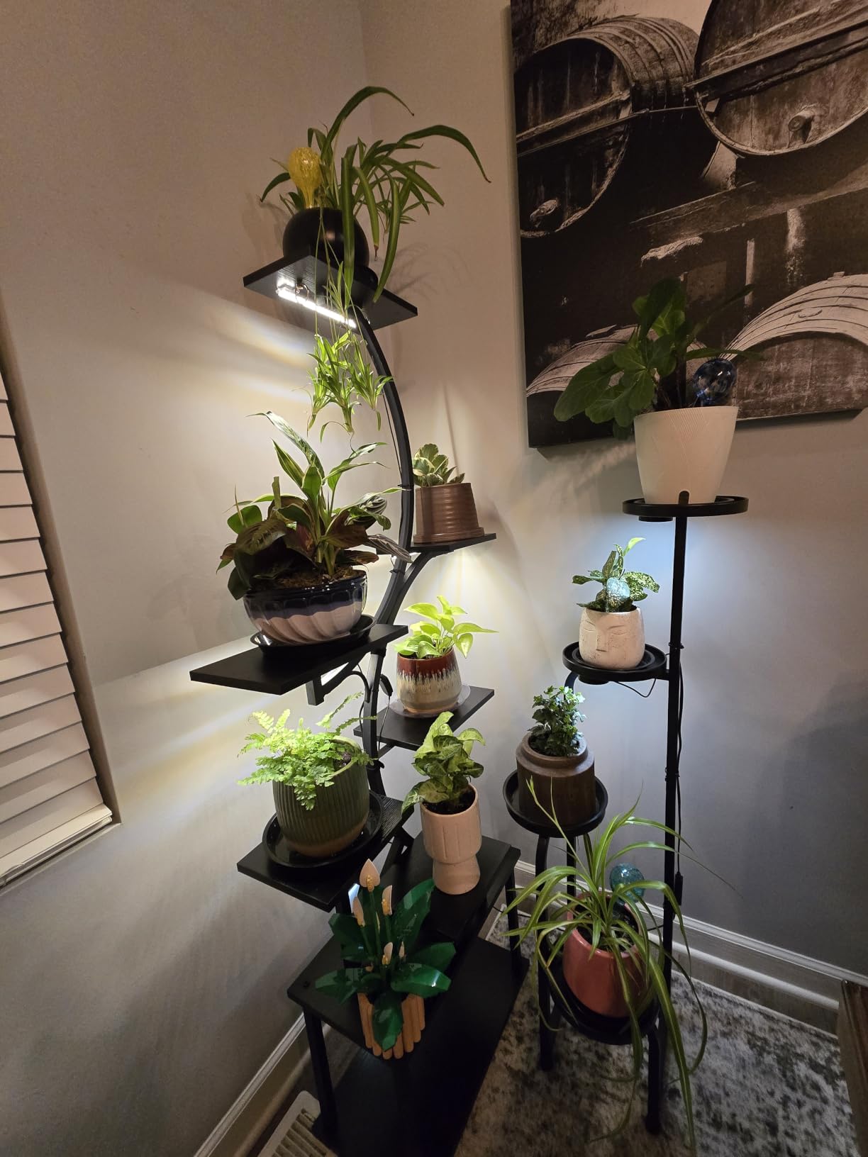 Bamworld Plant Stand with Grow Light Corner Metal Flower Pot Stands customer photo 1