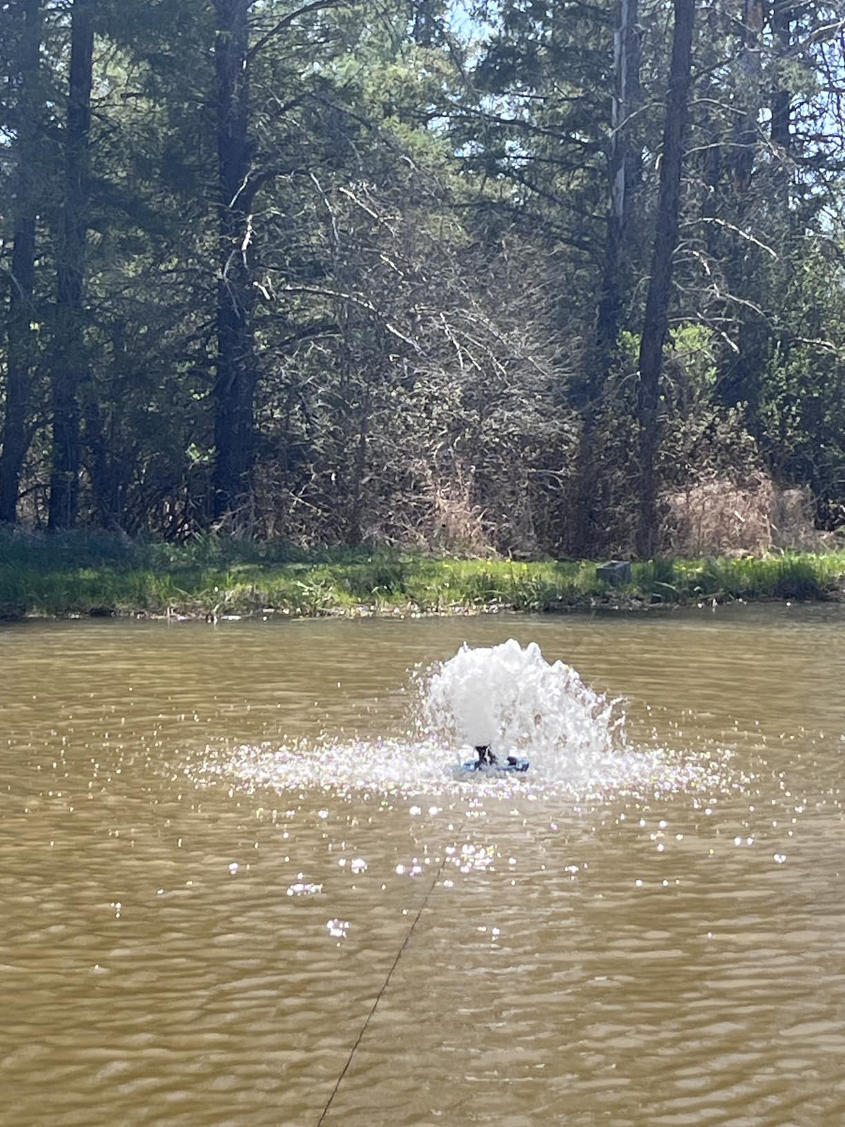 RELIY Pond Fountain Aerator, 1HP 110V 15000 GPH Fountain Pump, Fully Automatic Powerful Lake Floating Fountain, 100 FT Power Cord, 2x100 FT Traction Rope, Pond Fountains For Large Ponds customer photo 2