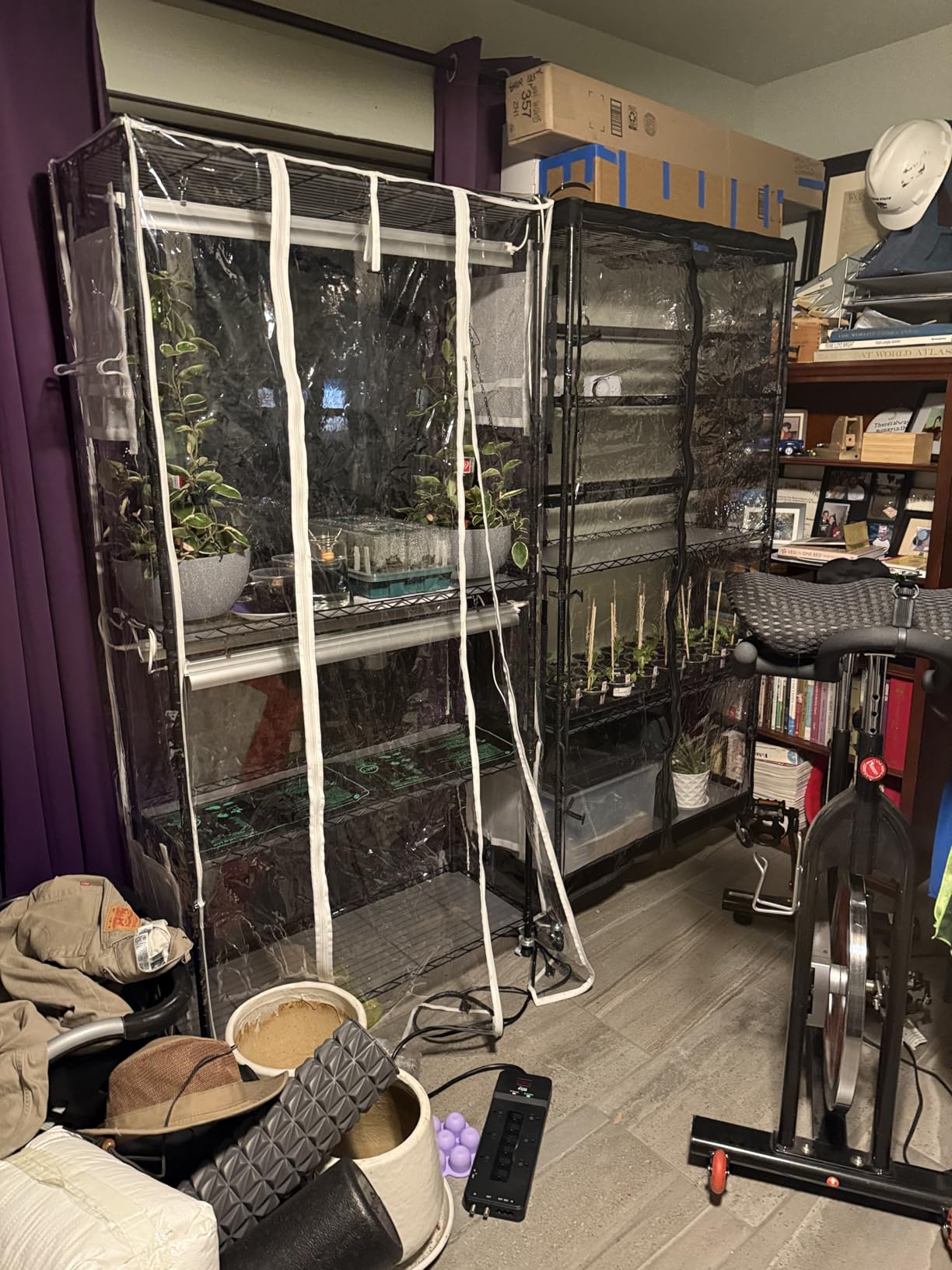 Barrina LP750 Indoor Greenhouse with Grow Light, 5 Tier Stand with Tent customer photo 1