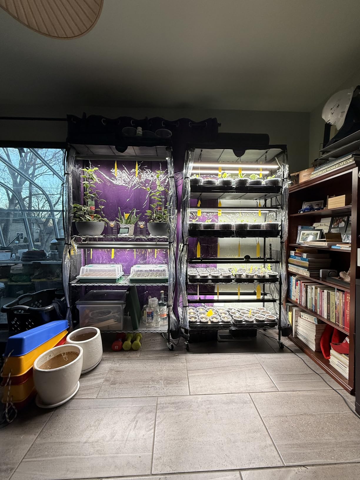 Barrina LP750 Indoor Greenhouse with Grow Light, 5 Tier Stand with Tent customer photo 2