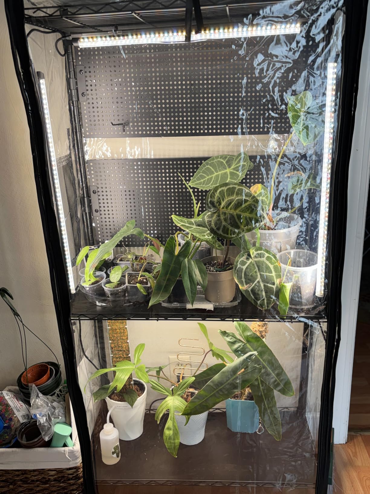 Bstrip Indoor Greenhouse with Grow Light and Pegboard, 29.5x13.8x59in customer photo 2