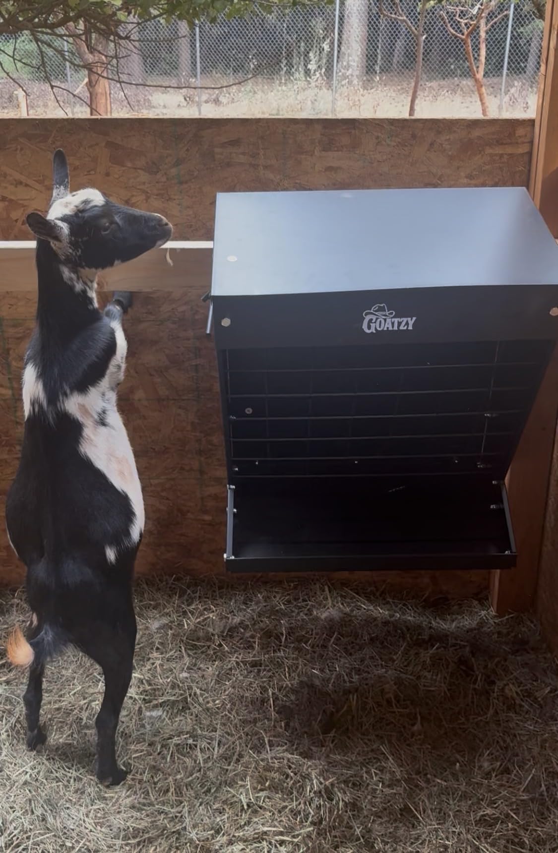 Wall Mount Hay Rack And Hay Feeder For Goats Sheep And Horses, Covered Galvanized Steel Goat Hay Feeder With Hinged Roof, 25 Gallon 2-In-1 No Waste Hanging Holder Grain Bin with hook For Cattle customer photo 1