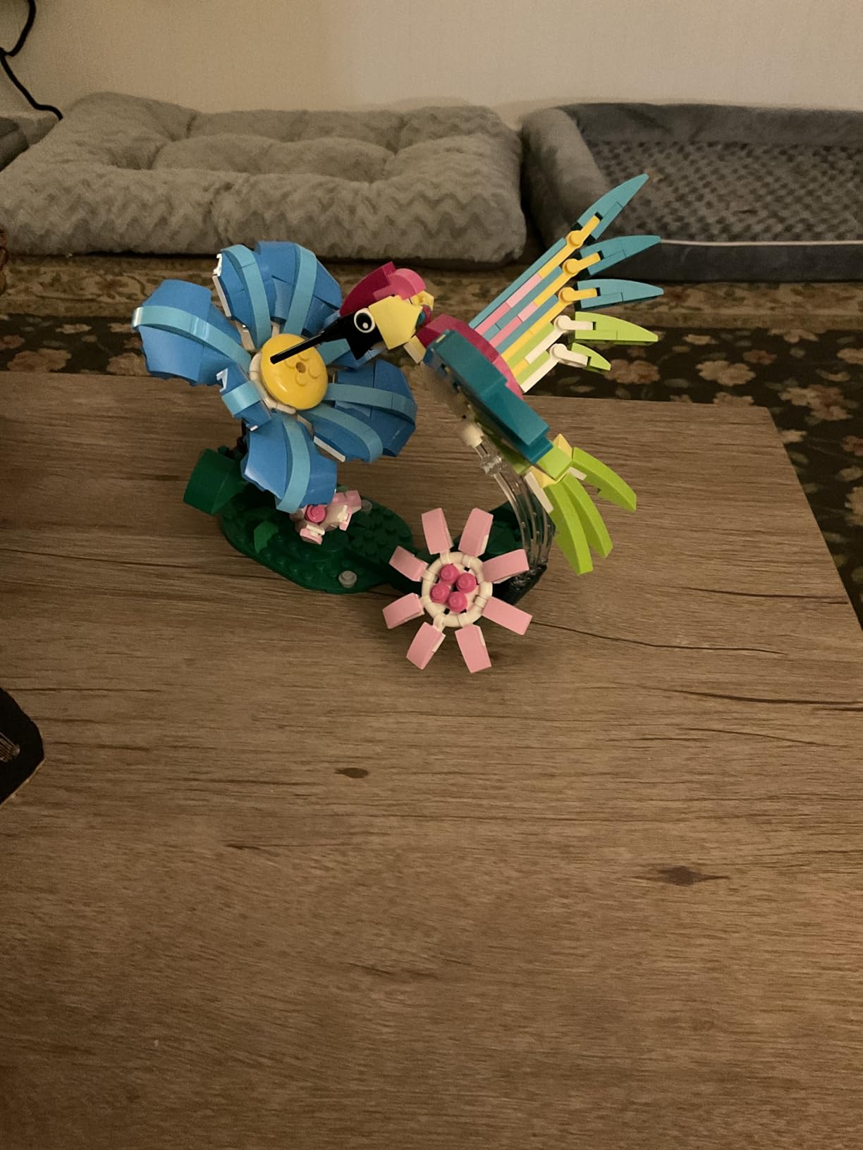 LEGO Creator 3 in 1 Wild Animals: Colorful Hummingbird Building Toy for Girls, Boys, & Kids, Ages 8+ - Build a Bird, Butterfly, or Tropical Fish - Gift Idea for Birthdays - 31384 customer photo 1