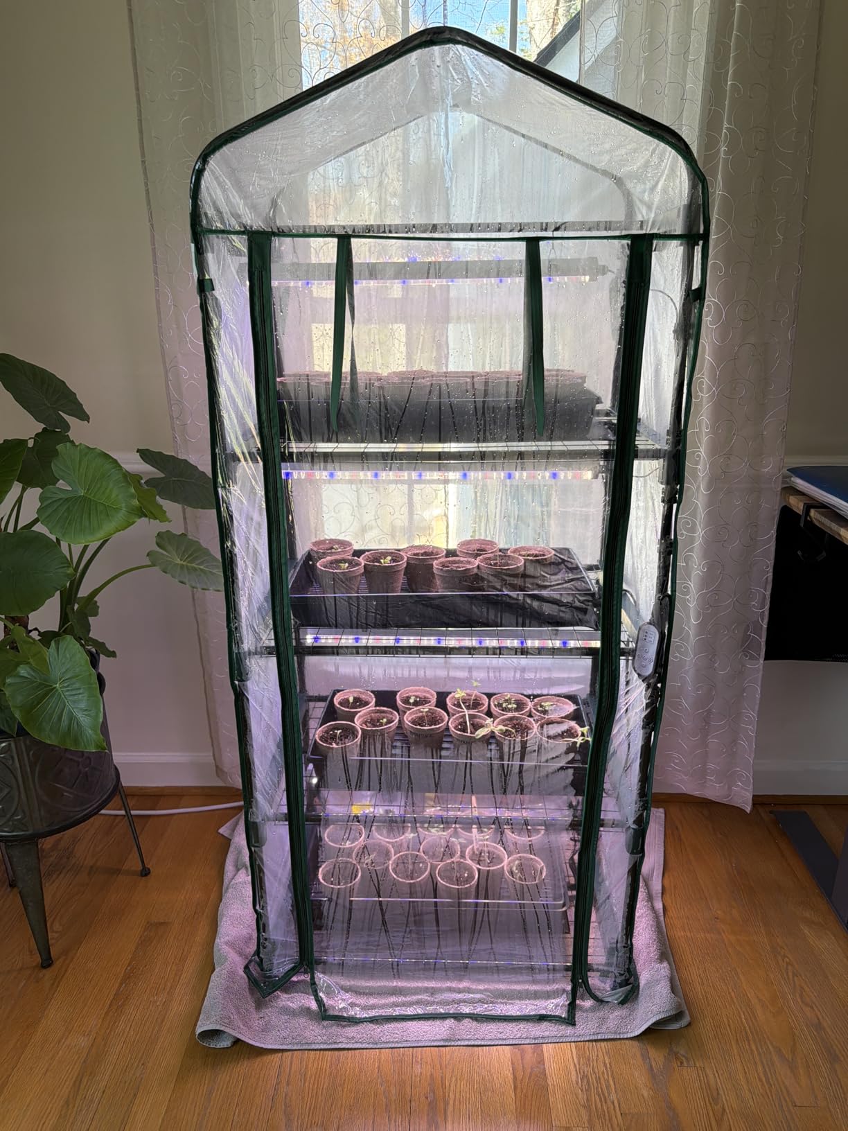 Indoor Greenhouse with Grow Light, Ohuhu 4-Tier Mini Green House for Winter - Full Spectrum Greenhouses for Seed Starting Small Portable Green Houses Waterproof PVC Cover & Adjustable Shelves customer photo 1