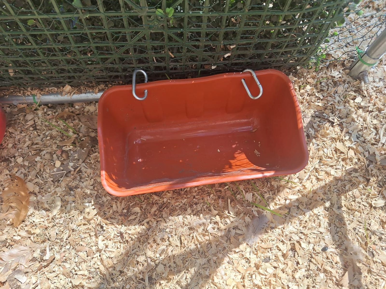 Chicken Feeder Waterer,Hanging Goat Feeders,Feed Trough 3.5 Quart 2 Pack,Hanging Fence Feed Trough for Poultry Livestock,Black customer photo 2