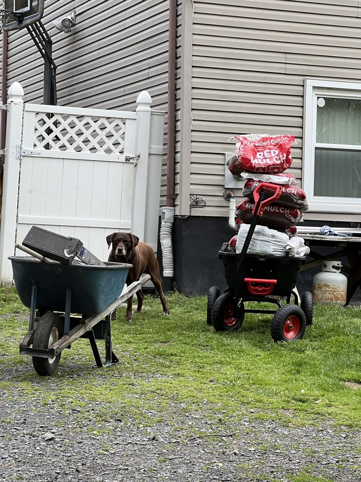 Autodaya 1400lbs Garden Dump Cart, Heavy Duty Wheelbarrow Wagon with Hitch customer photo 1