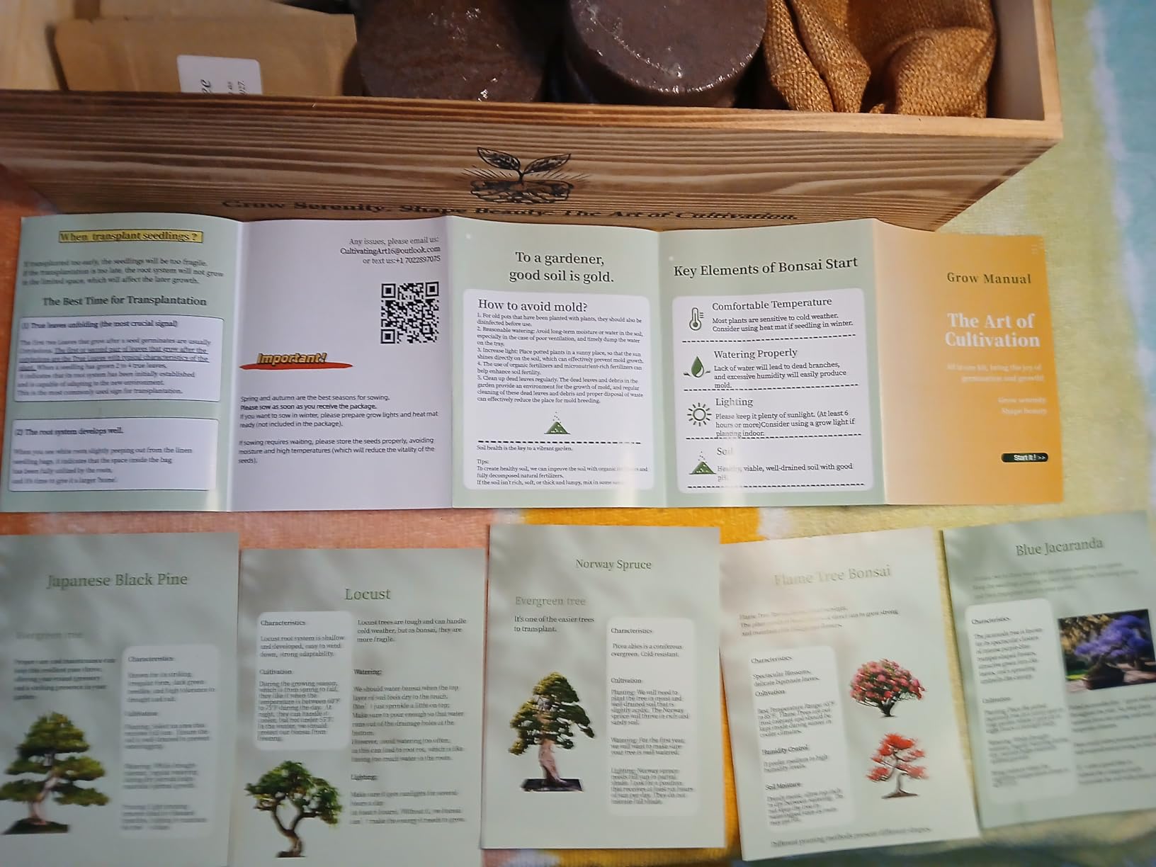 5X Bonsai Starter Kit, Bonzai Seed Kits, Durable Planting Bags, Complete Indoor Starter Kit for Growing Bonsai Plants, Gardening Gifts for Women & Men customer photo 2