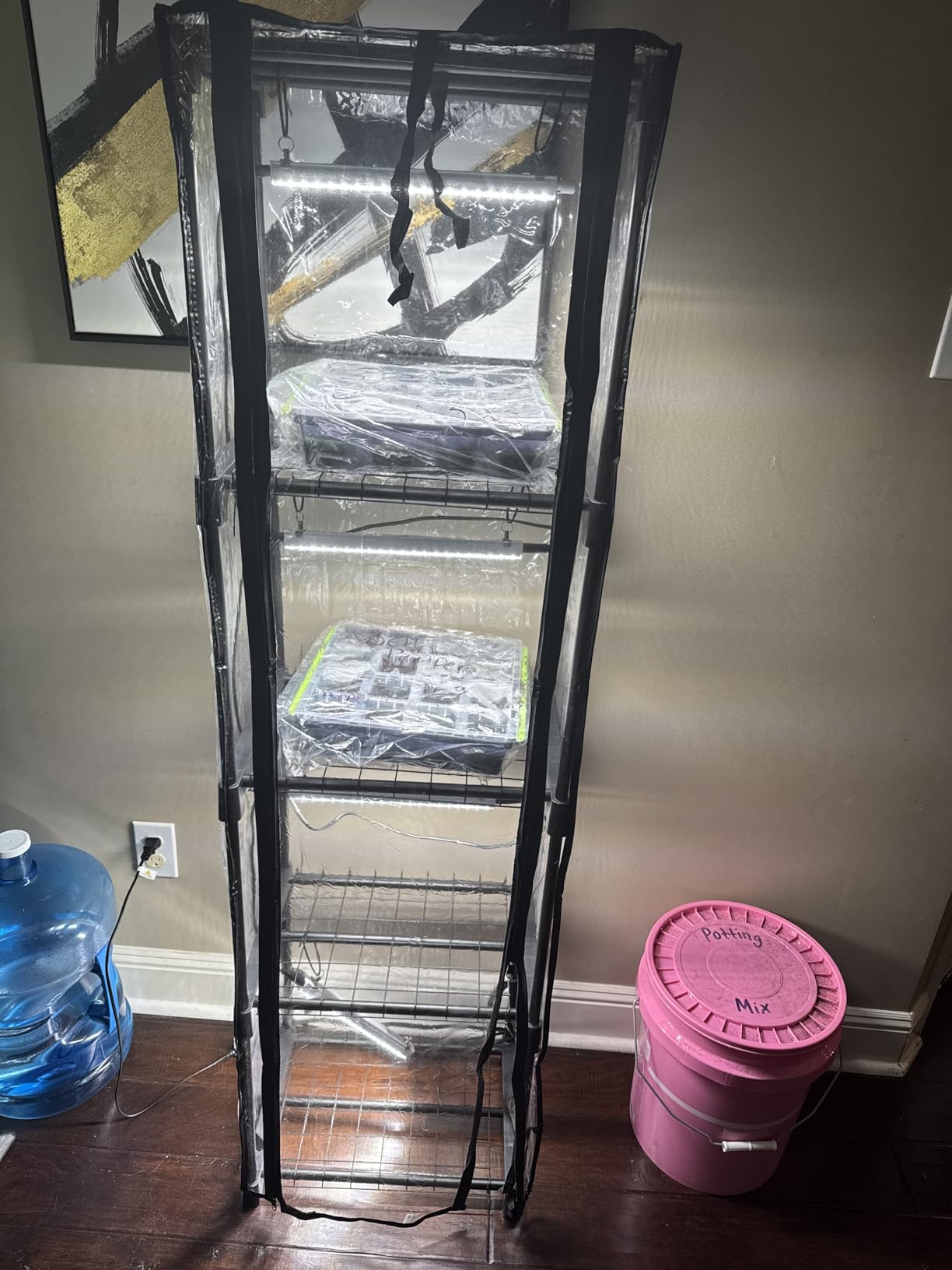 Indoor Greenhouse with Grow Lights, 11.8x15.7x59 customer photo 1