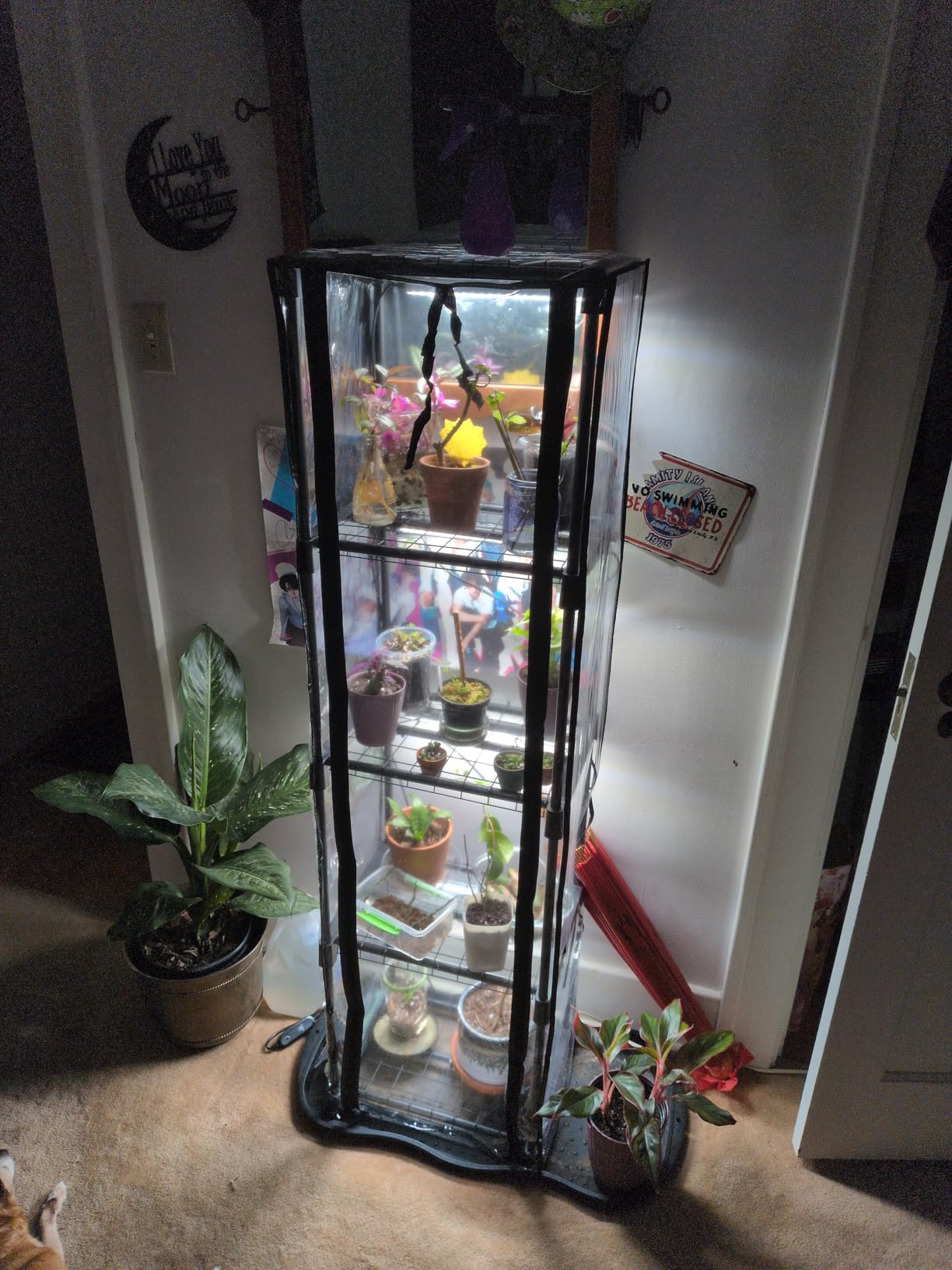 Indoor Greenhouse with Grow Lights, 11.8x15.7x59 customer photo 2