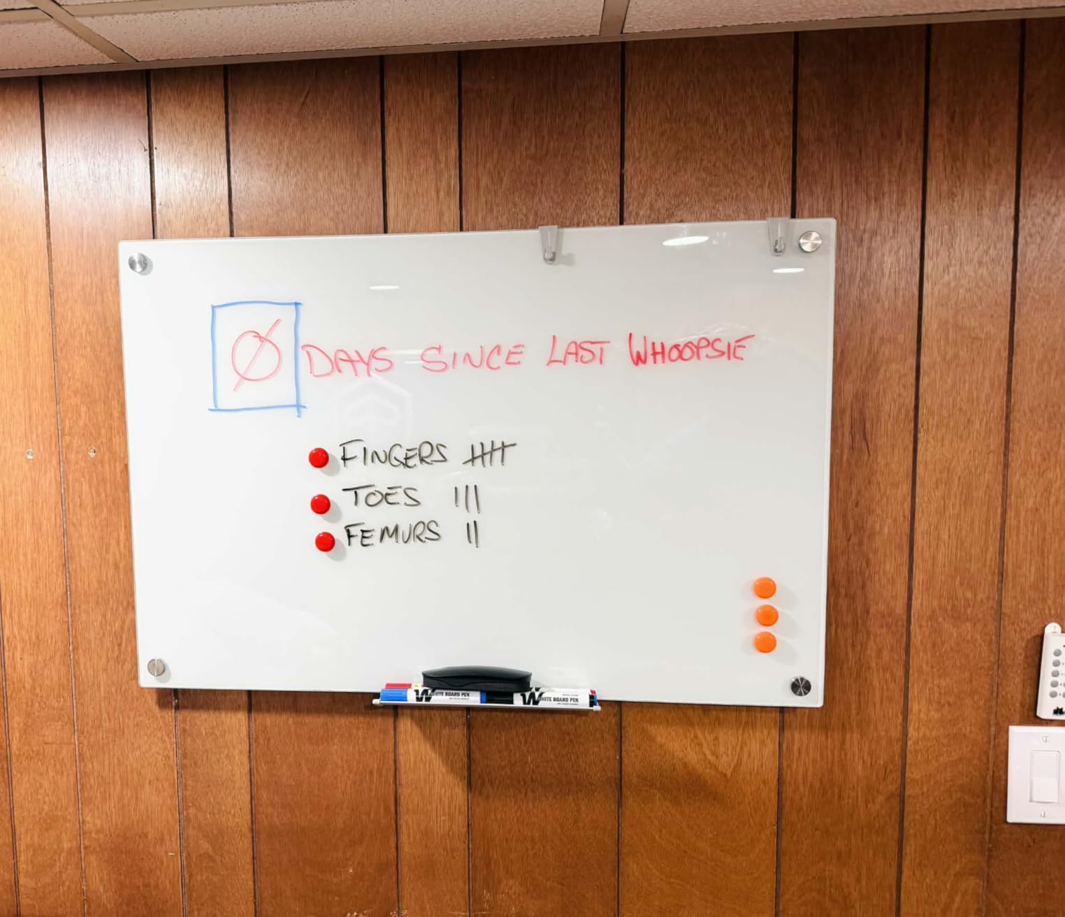 MaxGear Glass Whiteboard Tempered Glass Magnetic Dry Erase Board 60