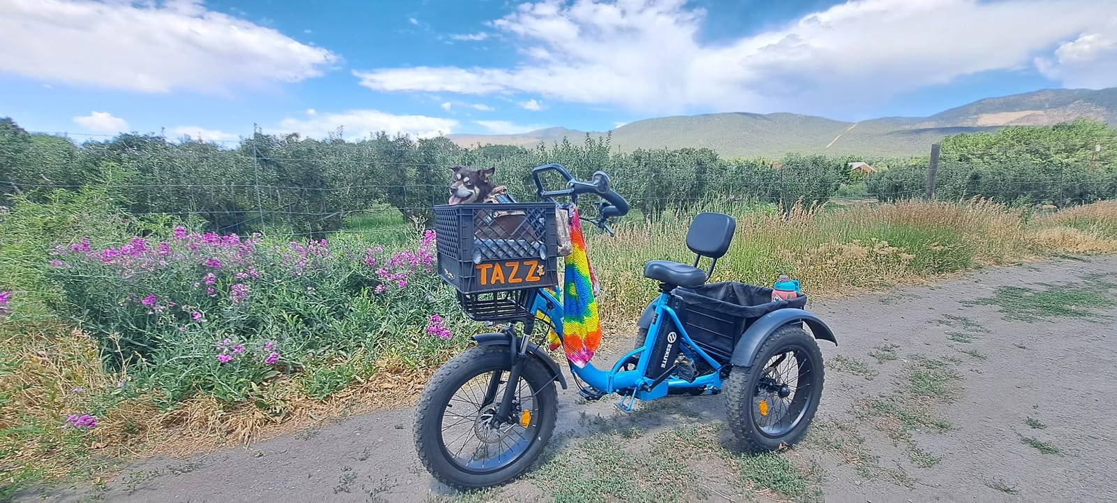 ESKUTE T300Pro Electric Trike for Adults,998.4Wh Long-Range Battery, 1200W Peak Motor, 20