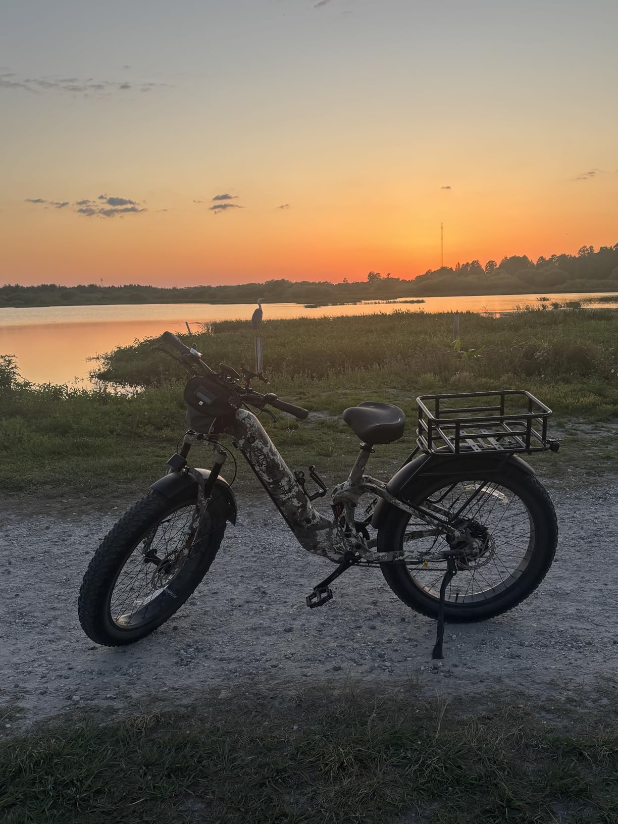 PUCKIPUPPY Electric Bike for Adults 500W, 48V 20AH Battery Adult Electric Bicycles, 26