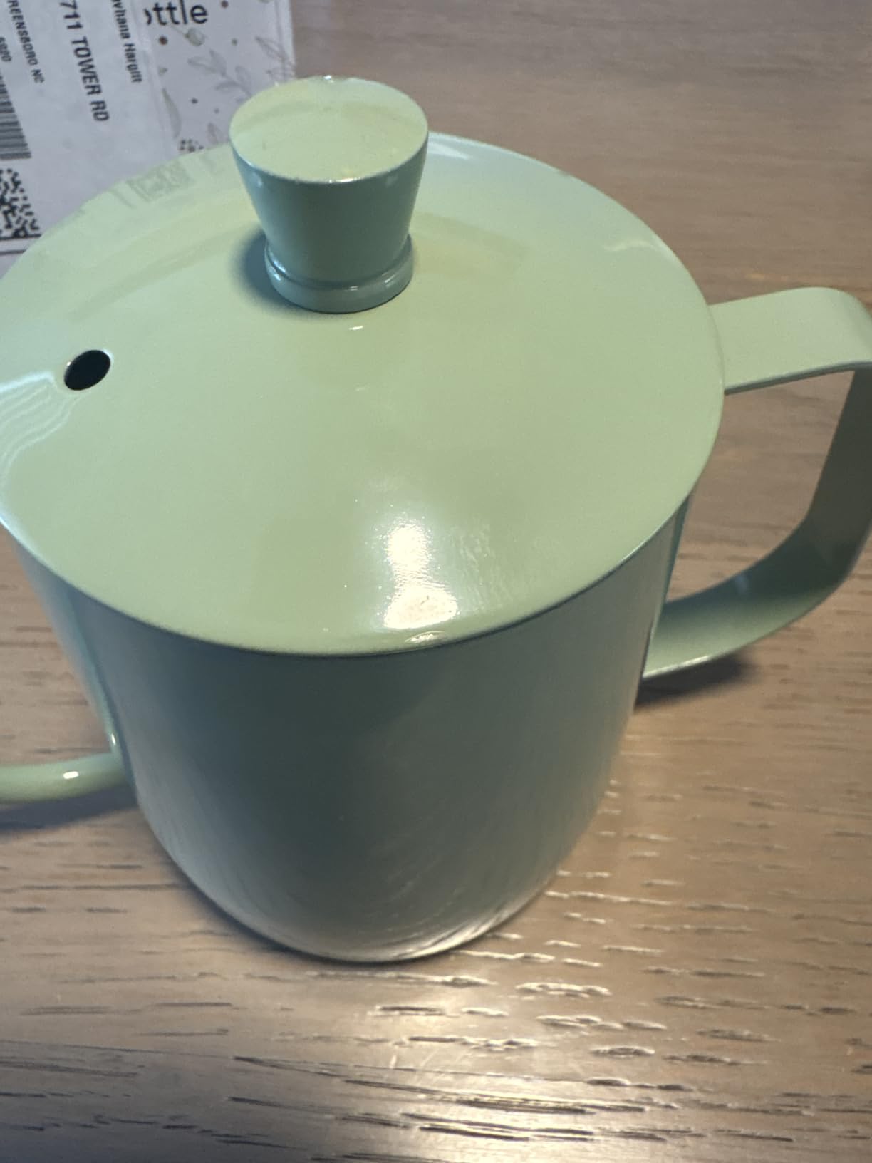 Watering Can for Indoor Plants, 20 oz Metal Small Plant Watering Can with Long Spout for House Plants, 13.5 oz Glass Plant Mister Spray Bottle for Bonsai Garden Flowers Decorative (Green) customer photo 2
