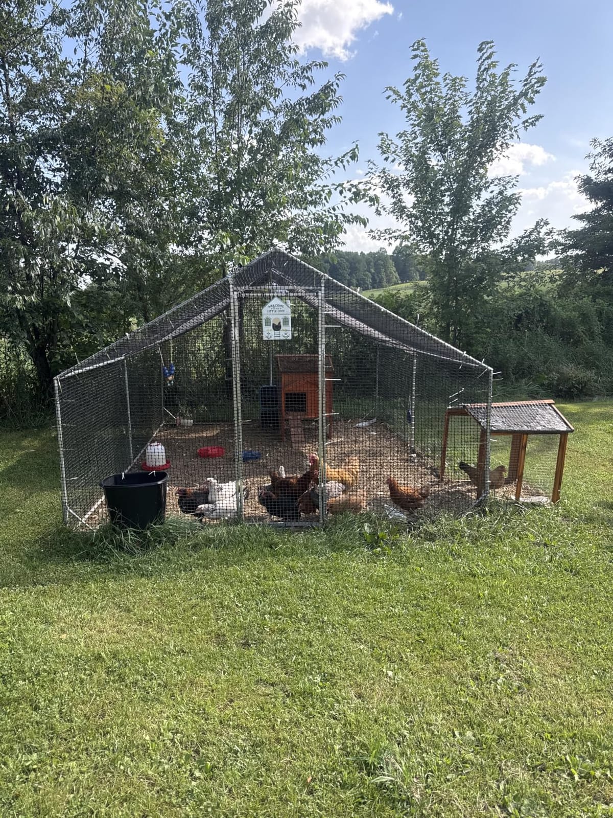 CAMMOO Walk in Chicken Coop, 13.1x9.8x6.6ft Chicken Run for Yard with Cover customer photo 1
