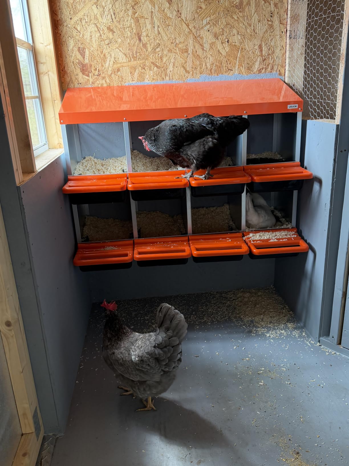 VEVOR Chicken Nesting Boxes, 2 Compartments, Easy Egg Collection, Wall Mount, Easy to Assemble, Galvanized Steel and High-Strength Plastic, Roll Away Nesting Boxes for Chickens Laying Eggs, Orange customer photo 2