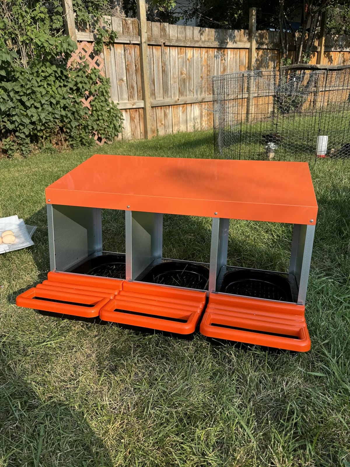 Chicken Nesting Boxes, Roll Away Nest Box for Egg Collector, 6 Holes Orange customer photo 1