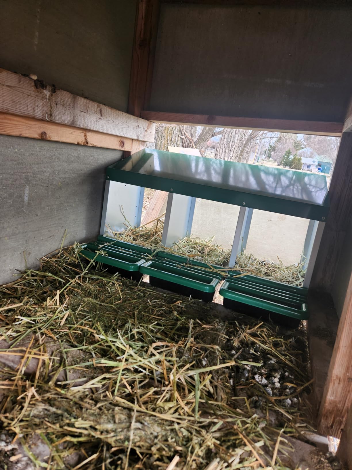 Eggluuz Chicken Nesting Box, 6 Compartments Egg Laying Nests Boxes for Hens customer photo 2